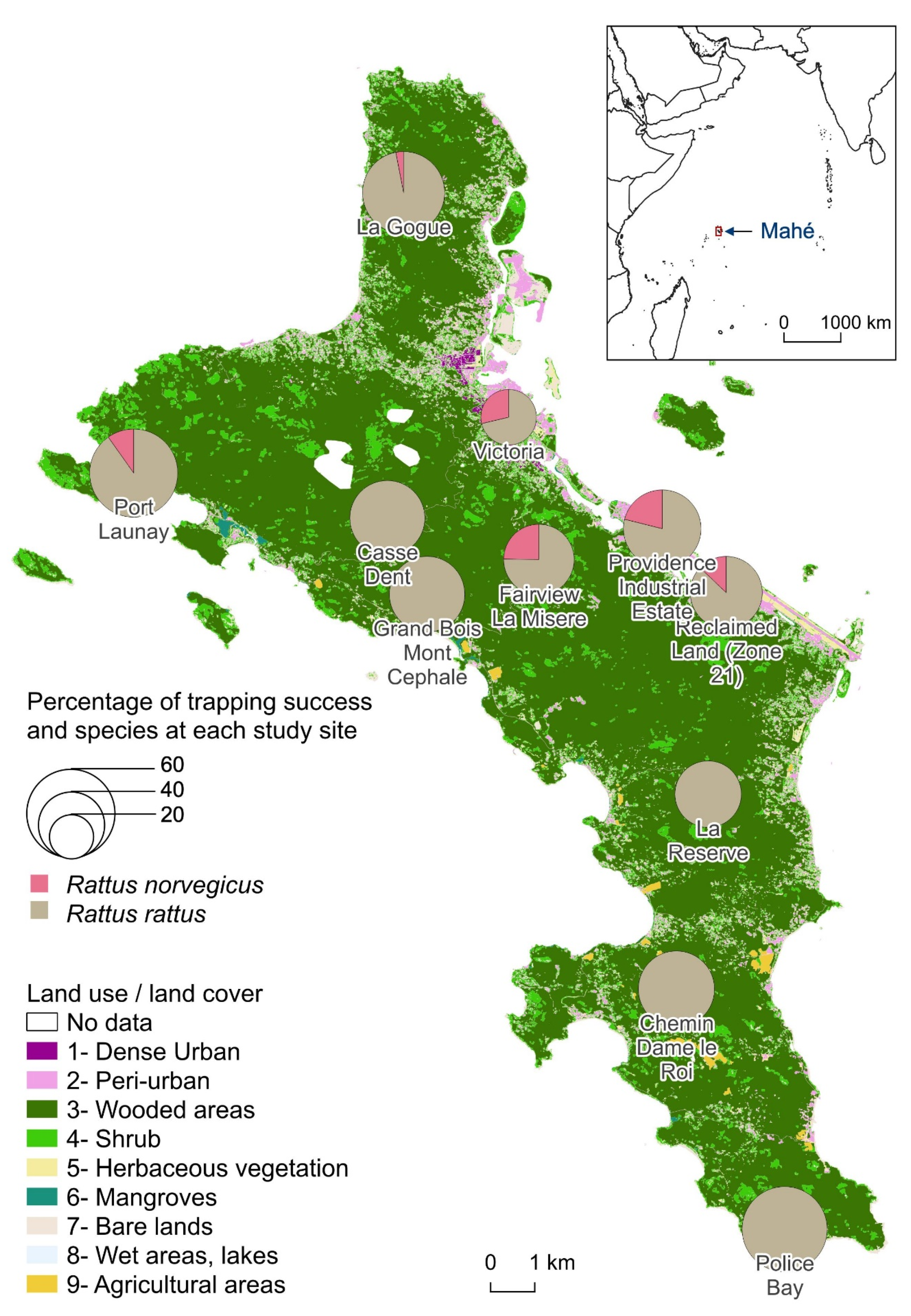Remotesensing 13 00325 g001