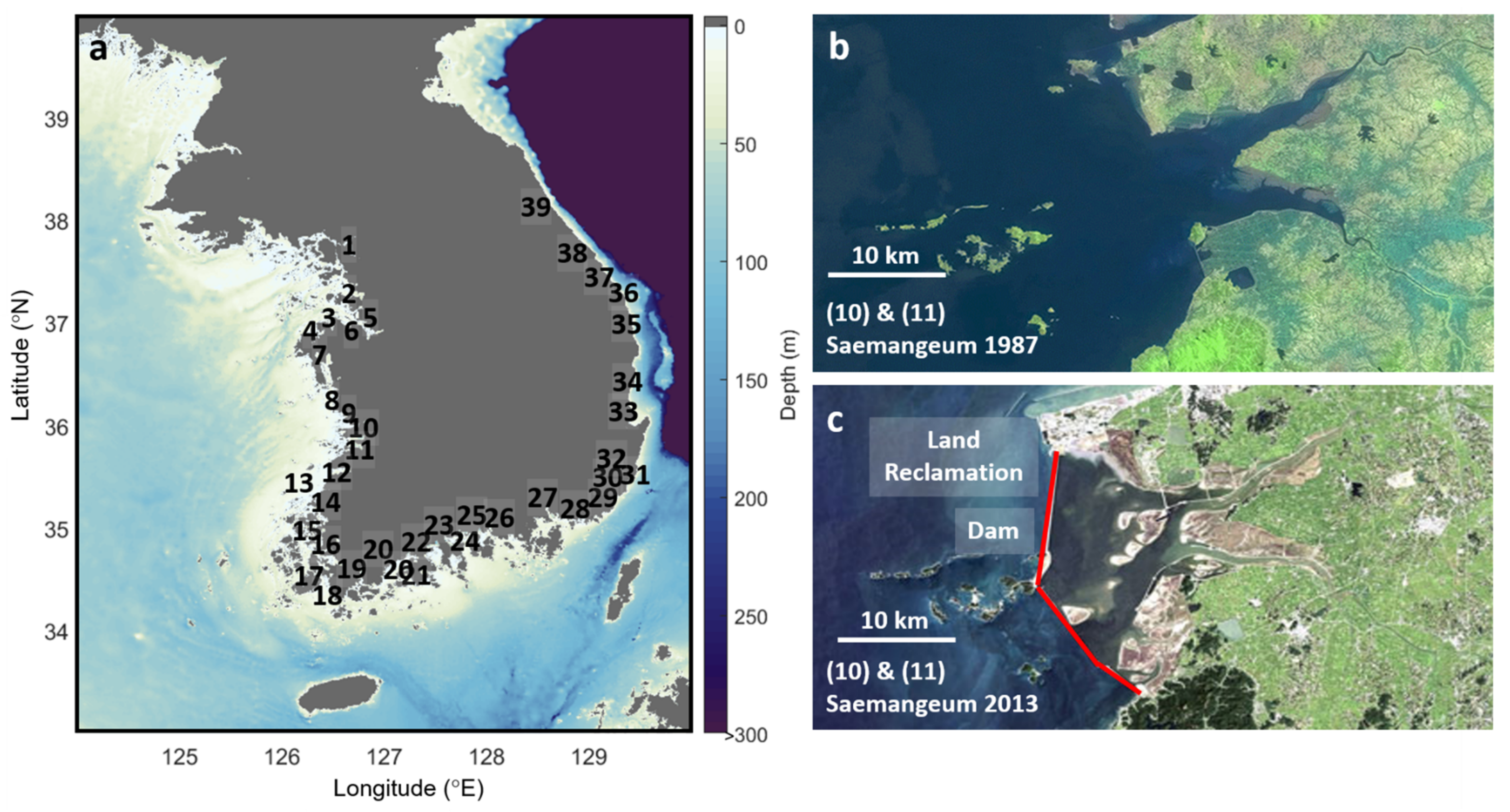 Remotesensing 13 00330 g005