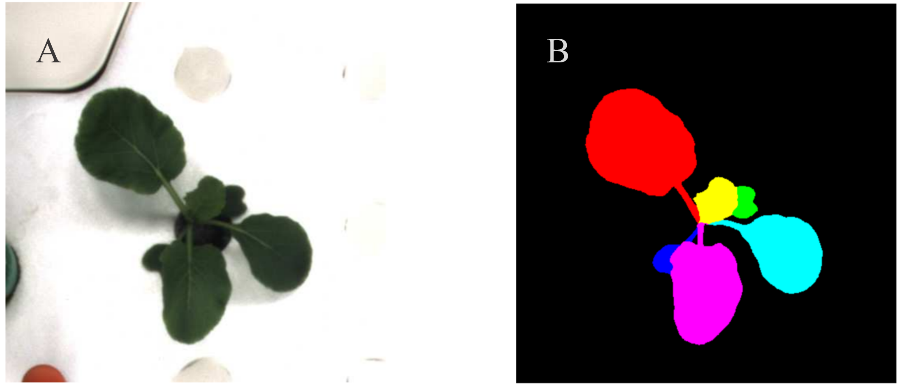 Remotesensing 13 00331 g001