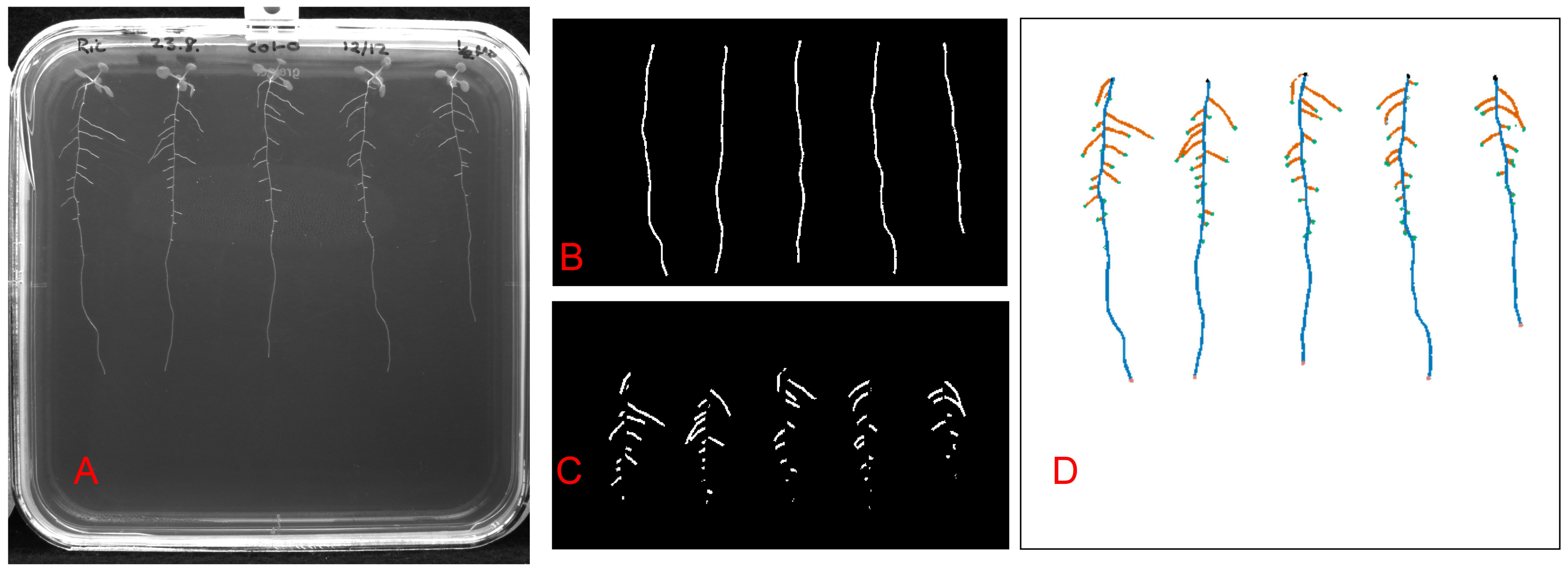 Remotesensing 13 00331 g002