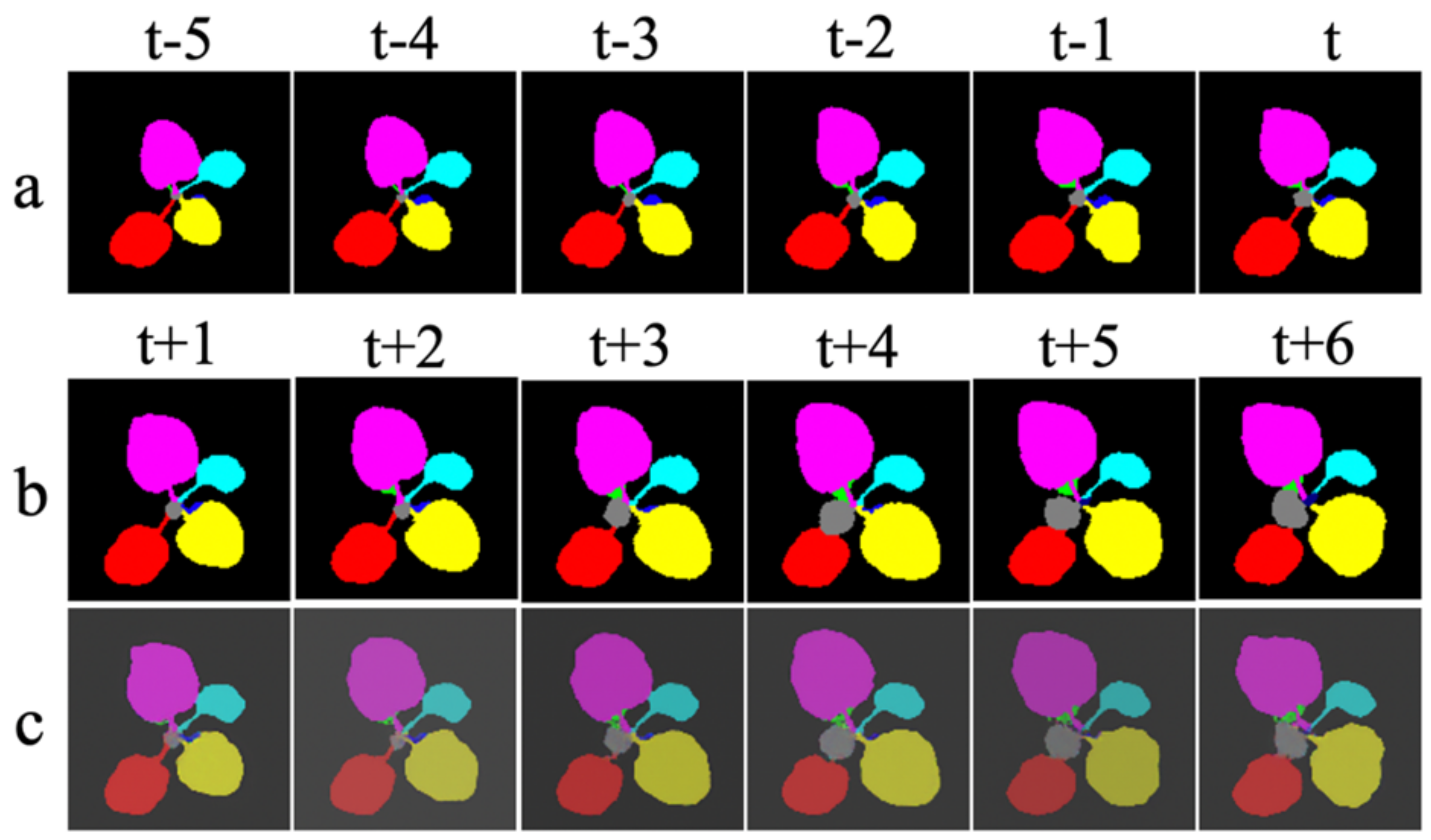 Remotesensing 13 00331 g005