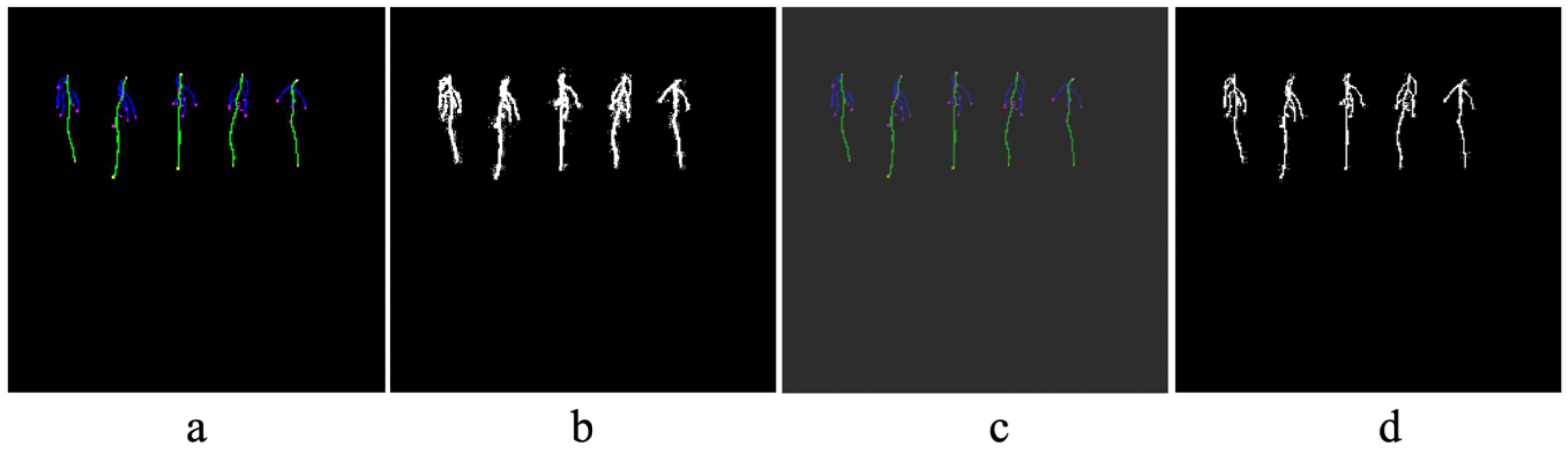 Remotesensing 13 00331 g010