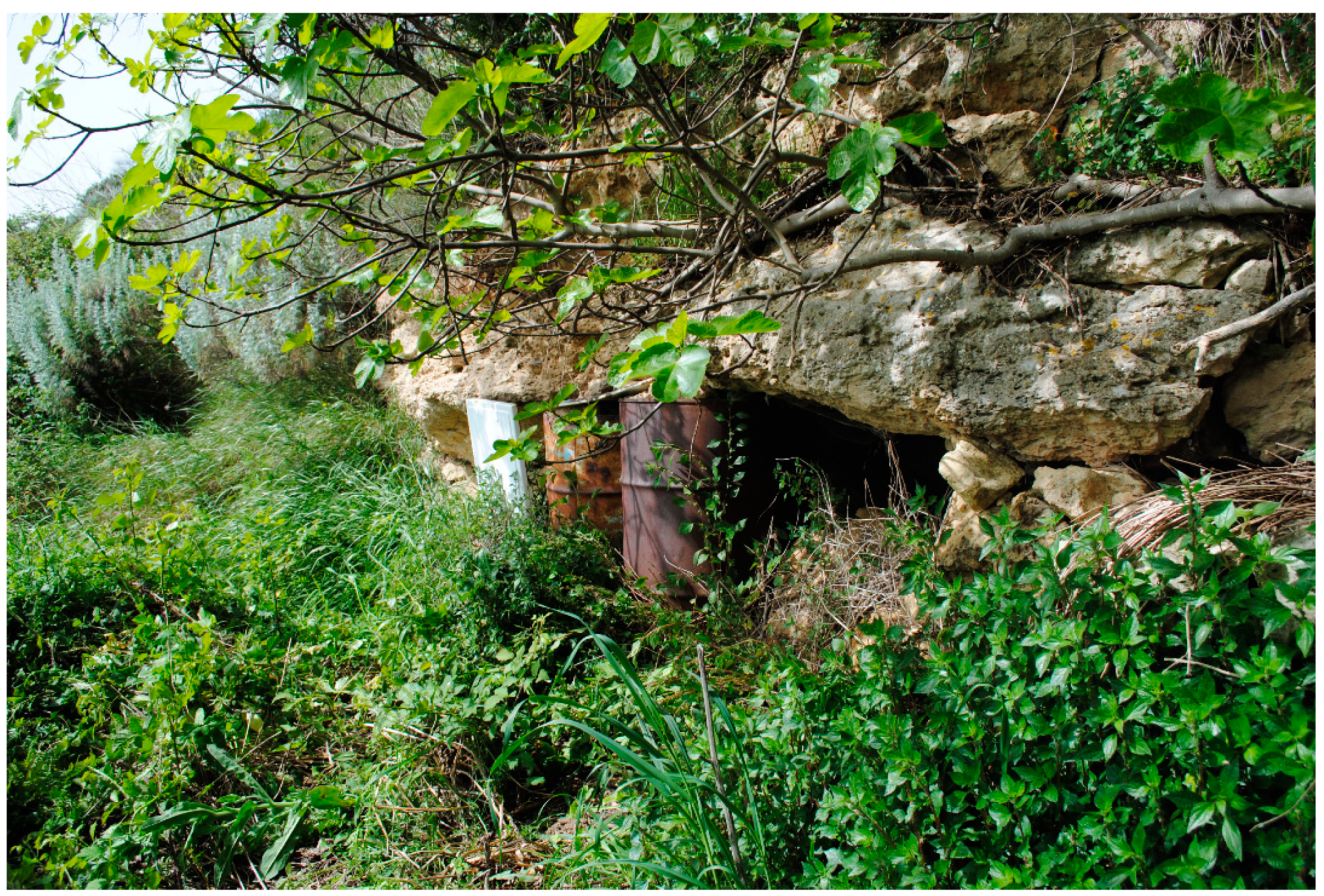 Remotesensing 13 00332 g009