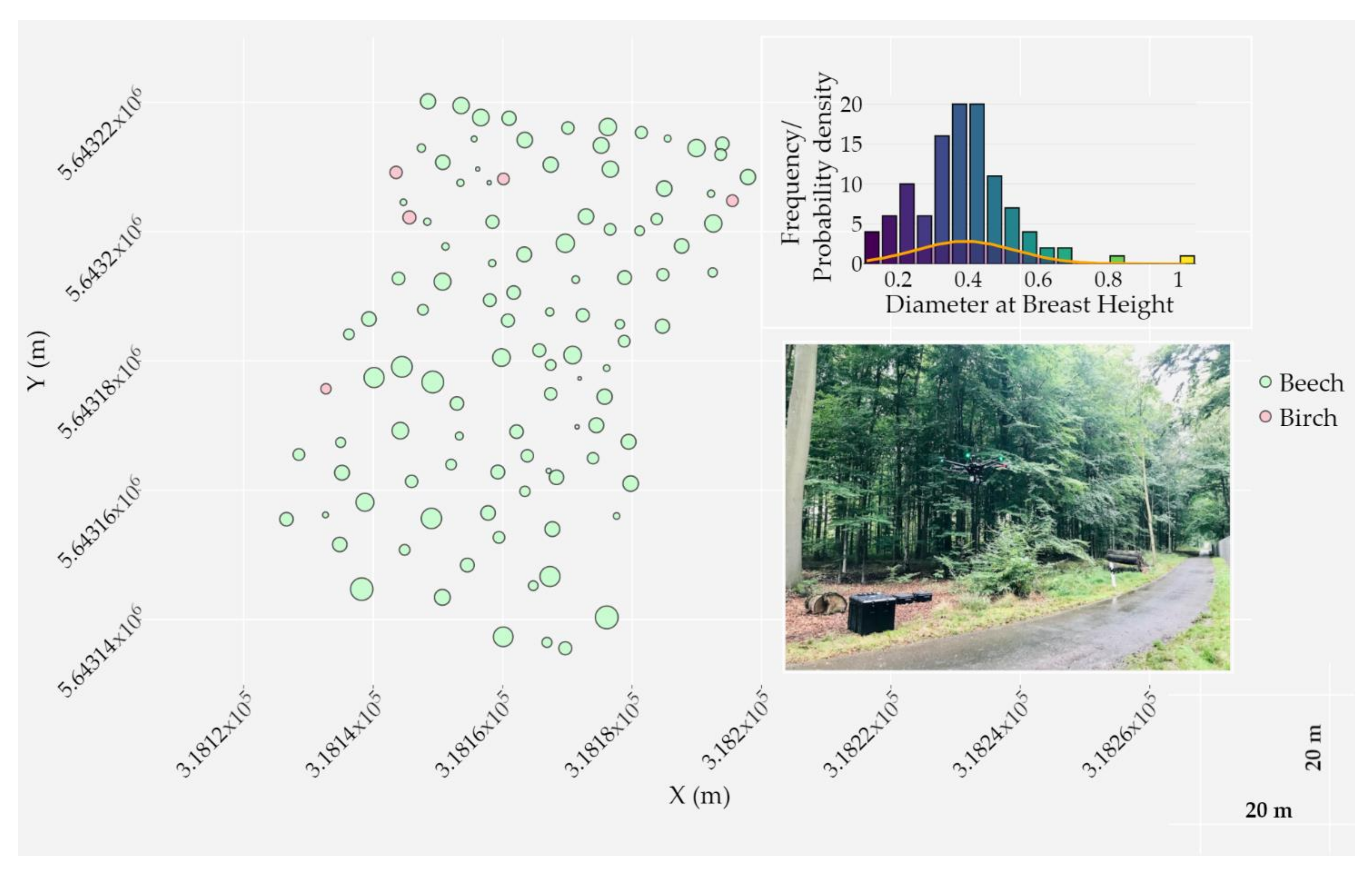 Remotesensing 13 00352 g002