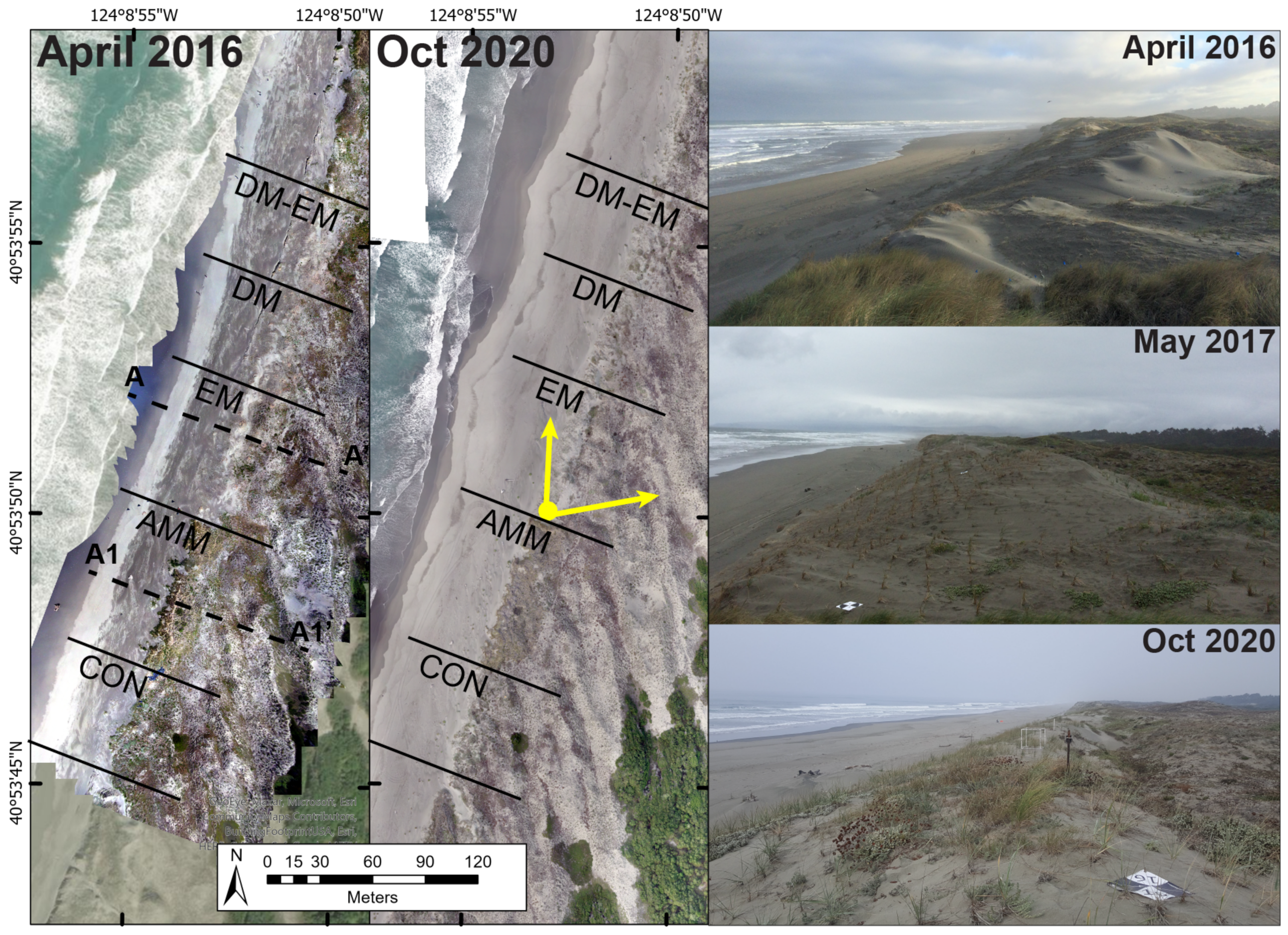 Remotesensing 13 00354 g003