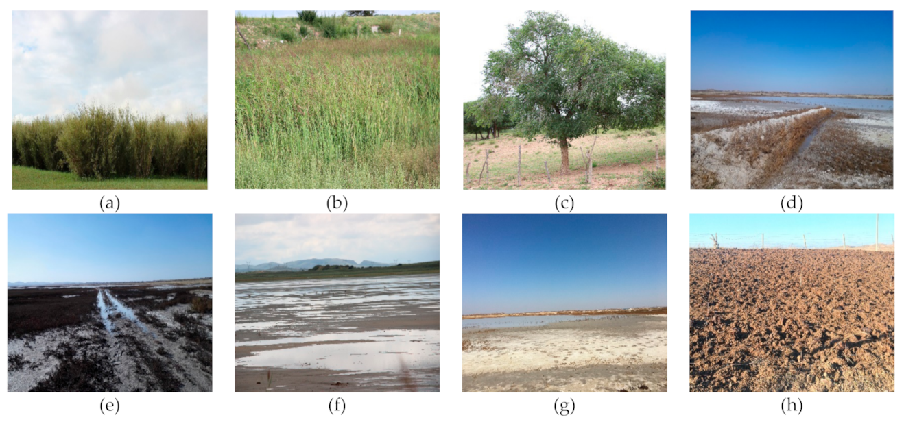 Remotesensing 13 00355 g013a