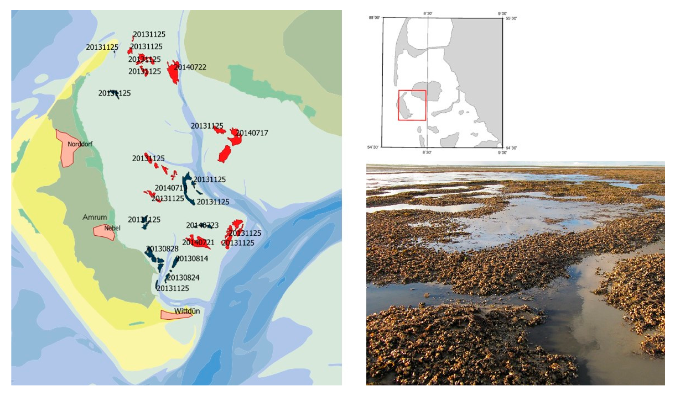 Remotesensing 13 00360 g003