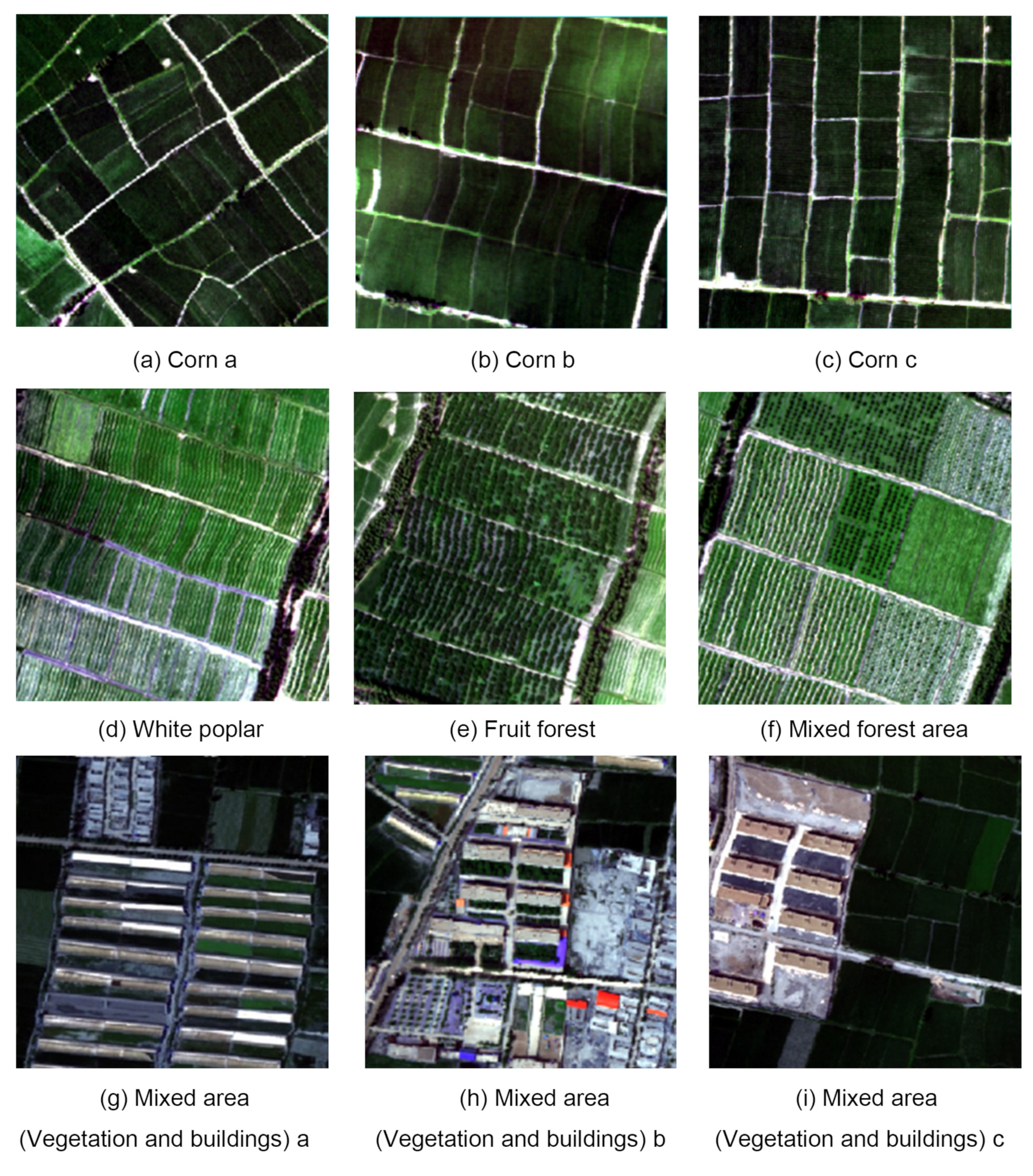 Remotesensing 13 00362 g005