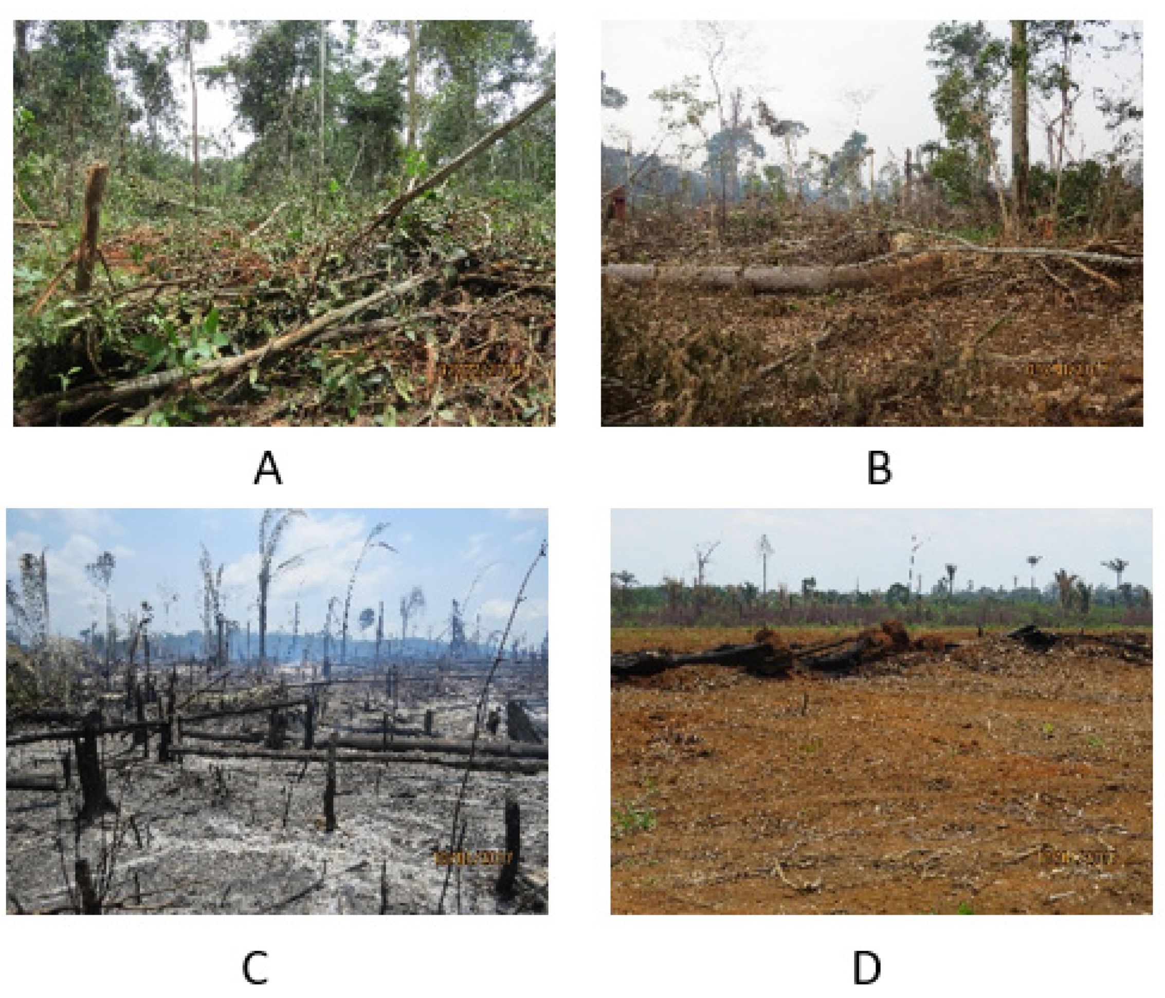 Remotesensing 13 00376 g003