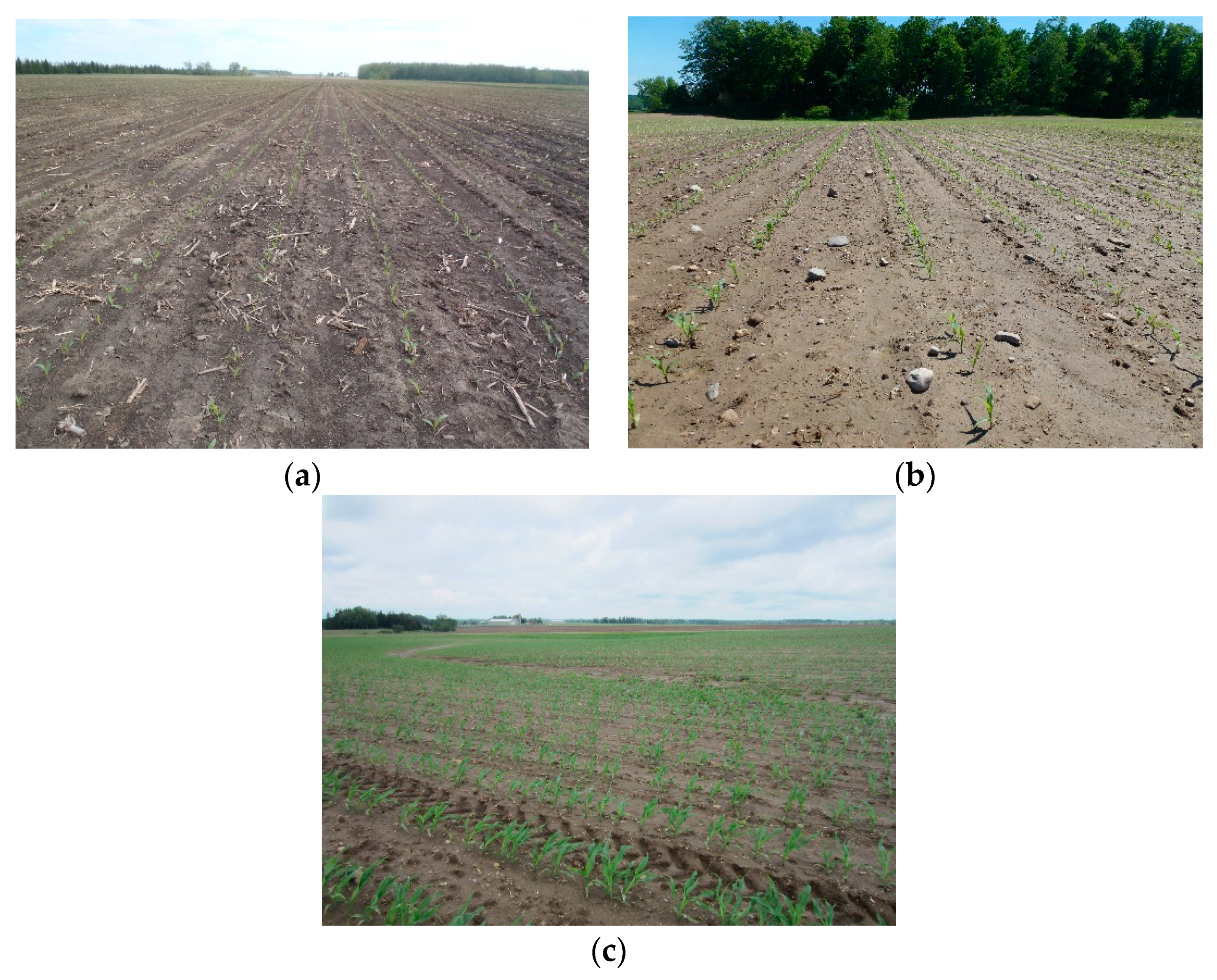 Remotesensing 13 00392 g002 Remotesensing 13 00392 g002