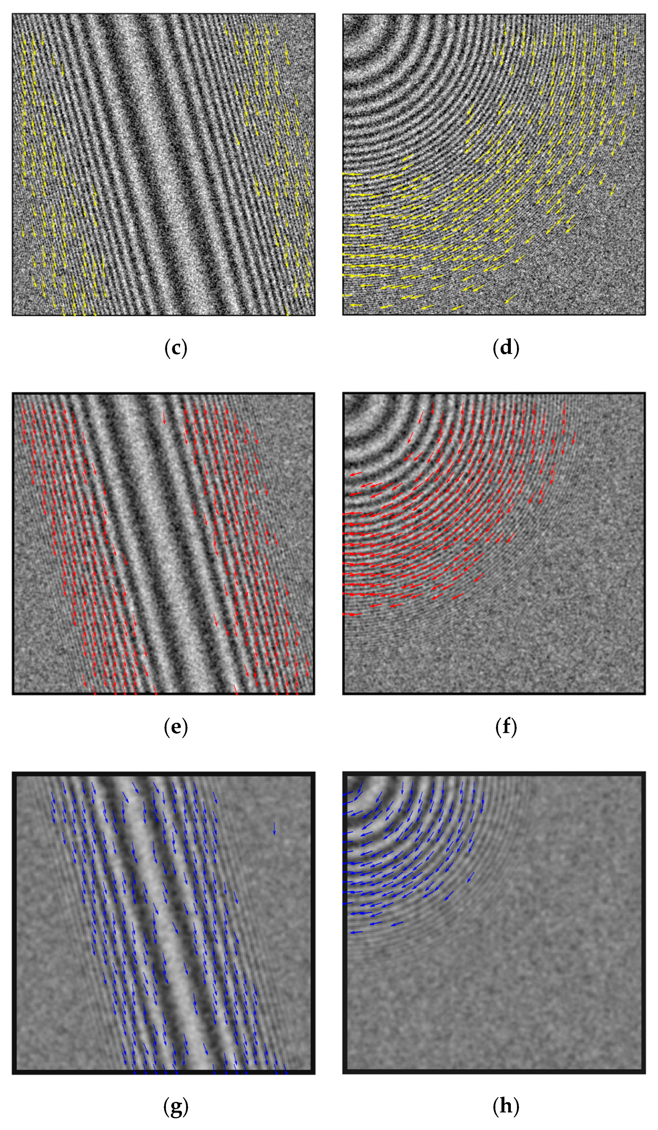 Remotesensing 13 00410 g005b