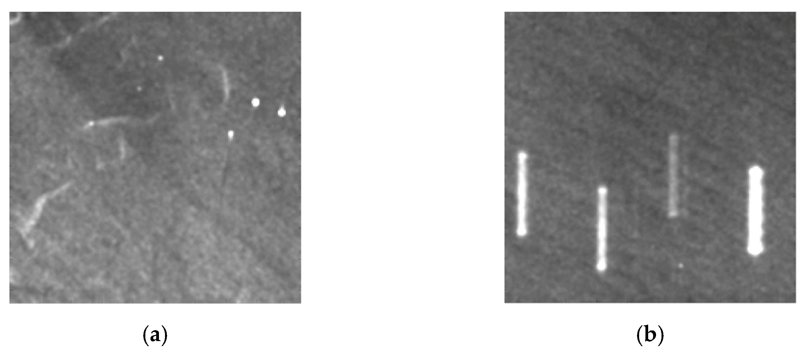 Remotesensing 13 00410 g009a