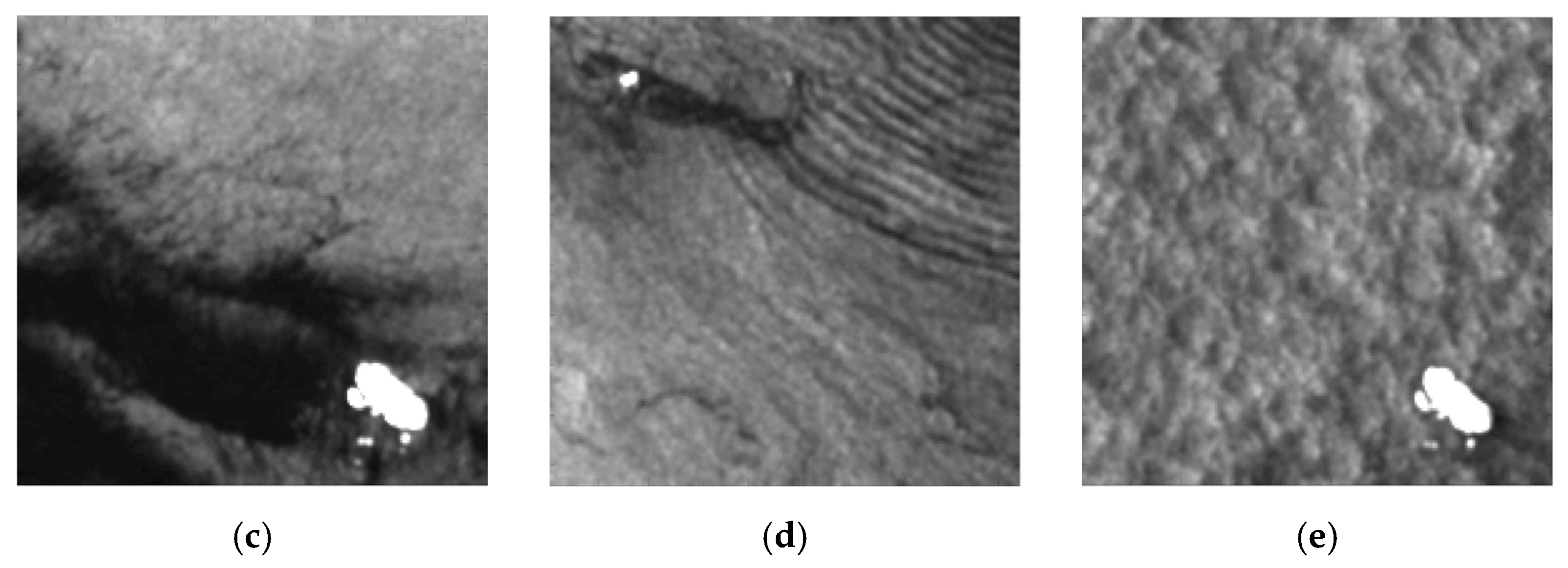 Remotesensing 13 00410 g009b