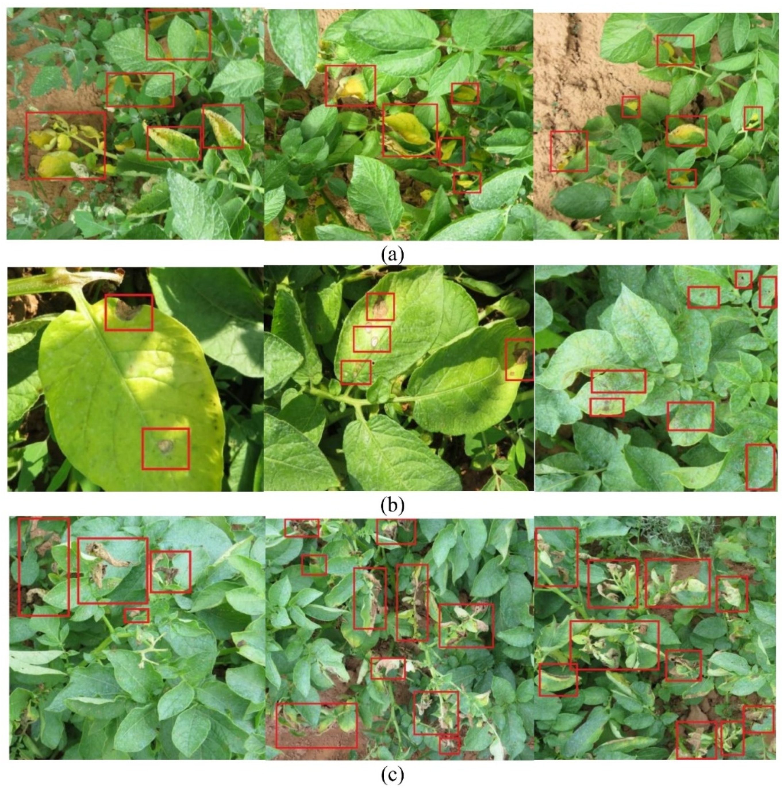 Remotesensing 13 00411 g001 Remotesensing 13 00411 g001