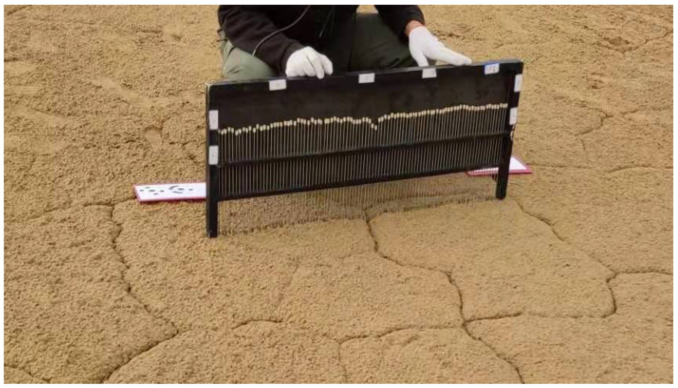 Remotesensing 13 00417 g002