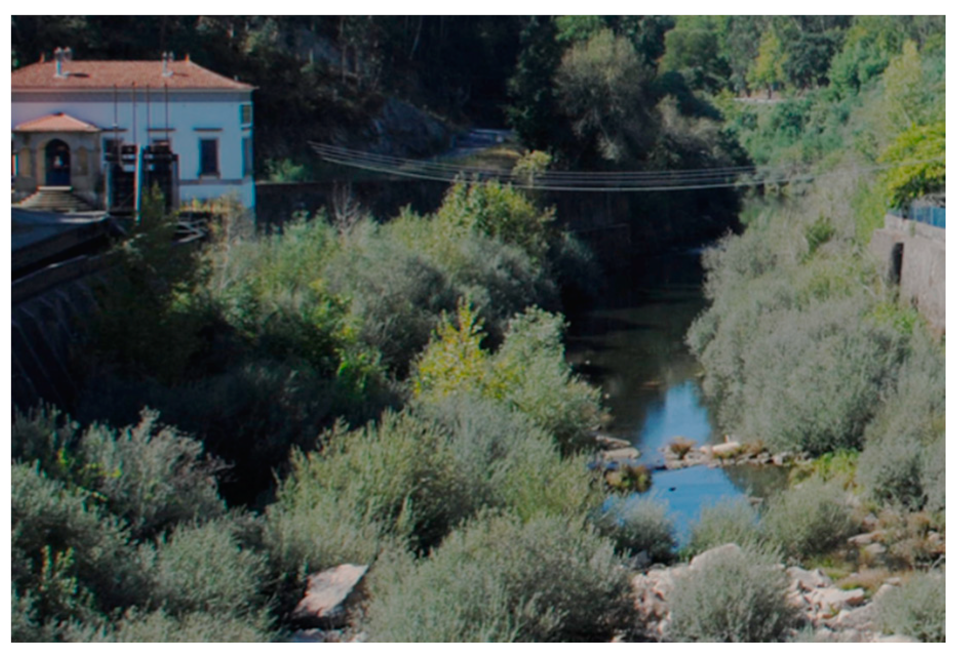 Remotesensing 13 00419 g002