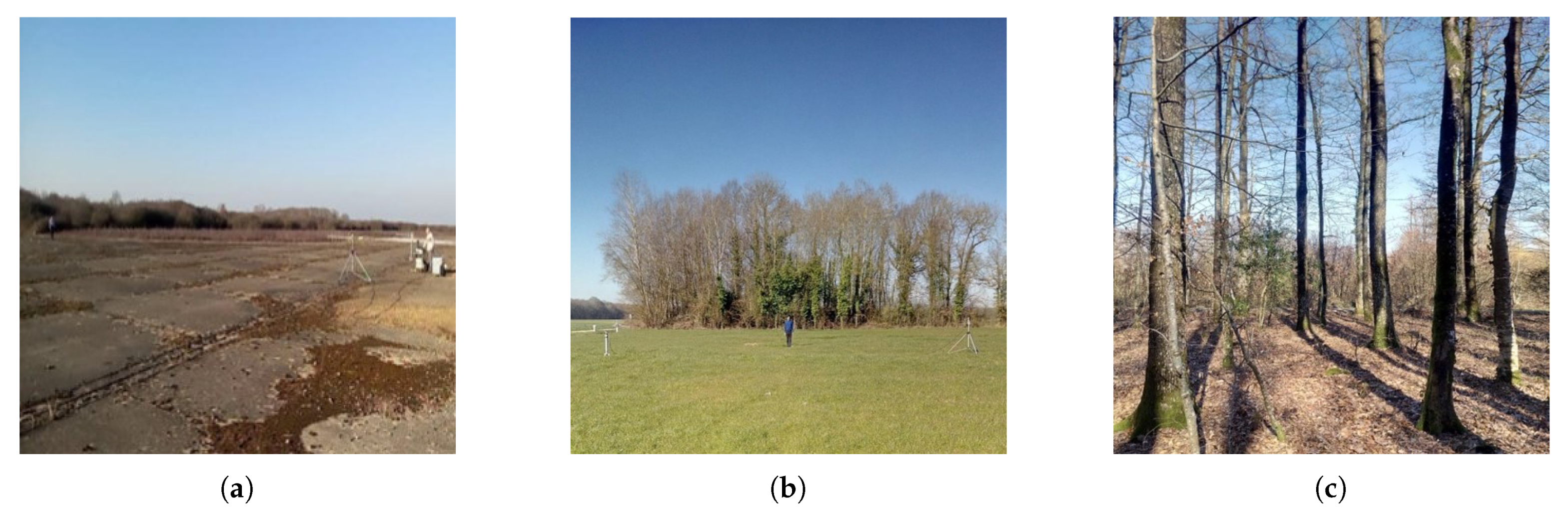 Remotesensing 13 00423 g007