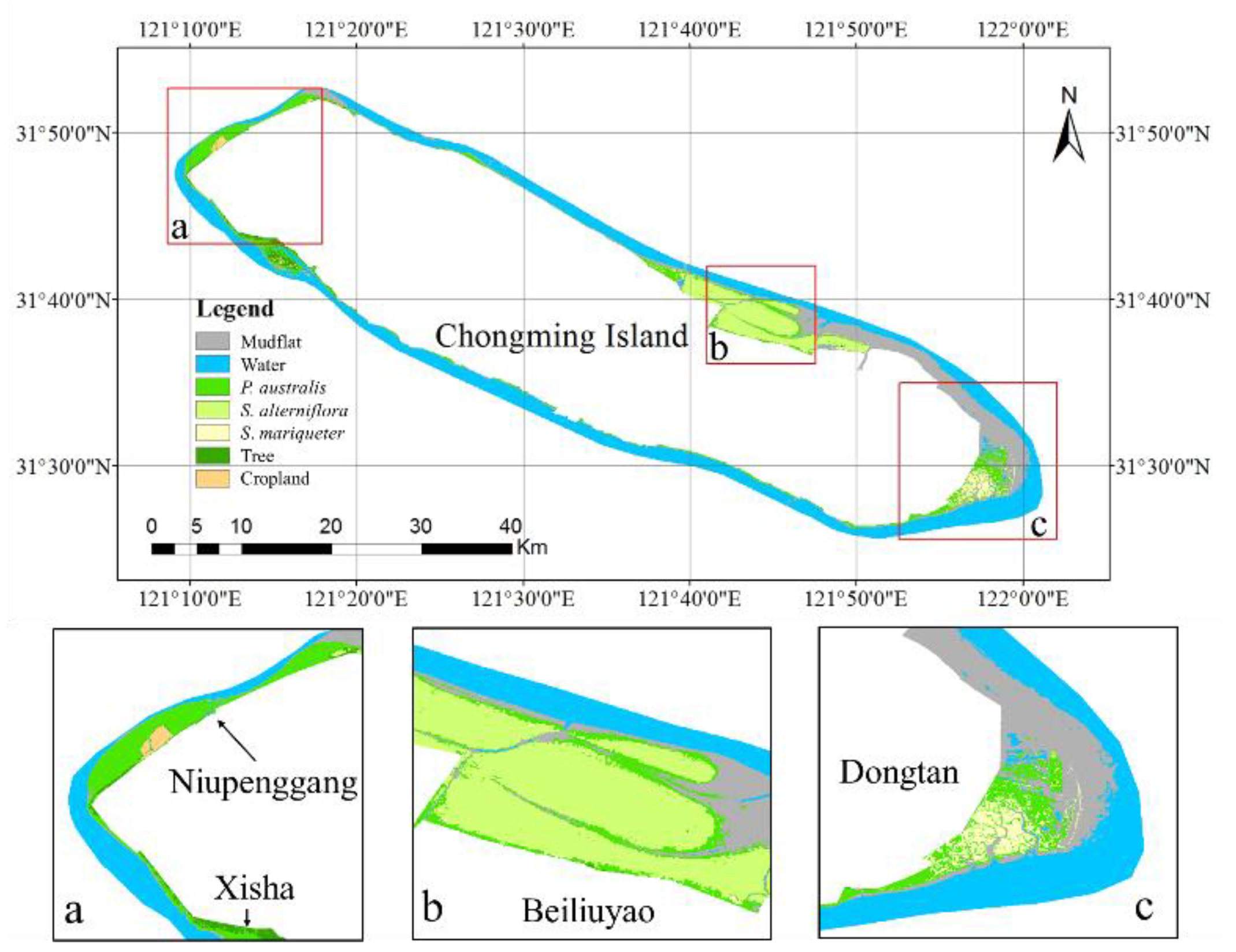 Remotesensing 13 00443 g009