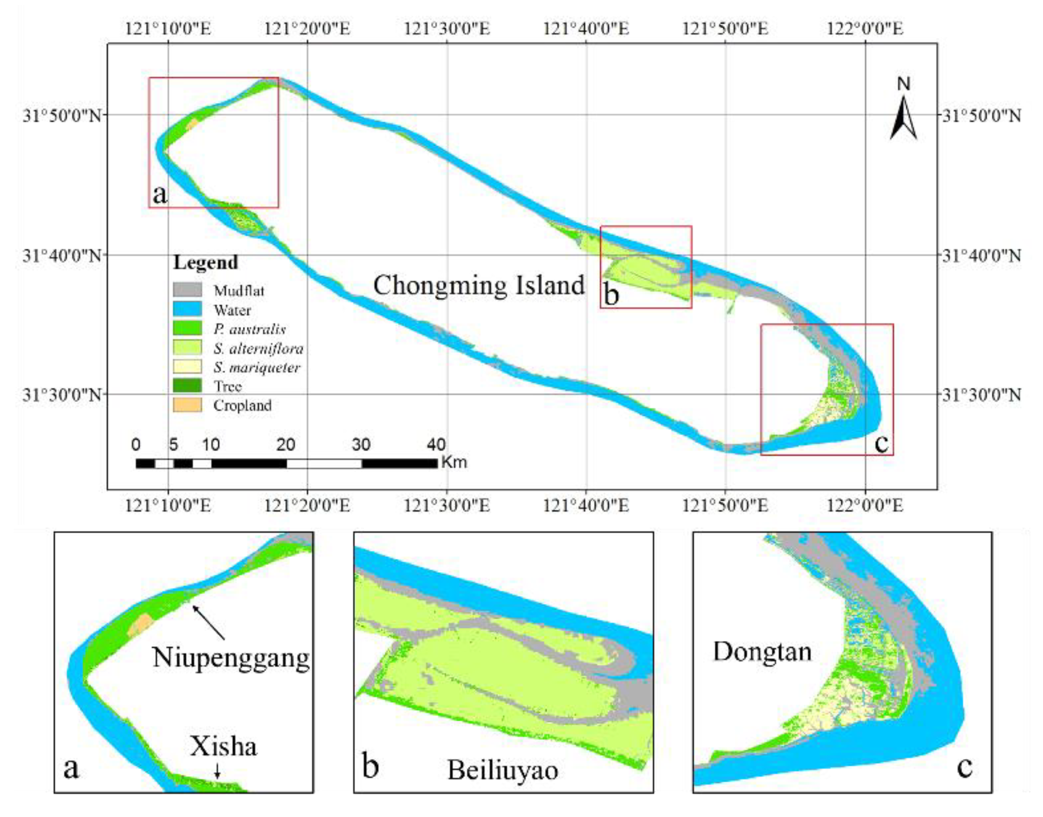 Remotesensing 13 00443 g010