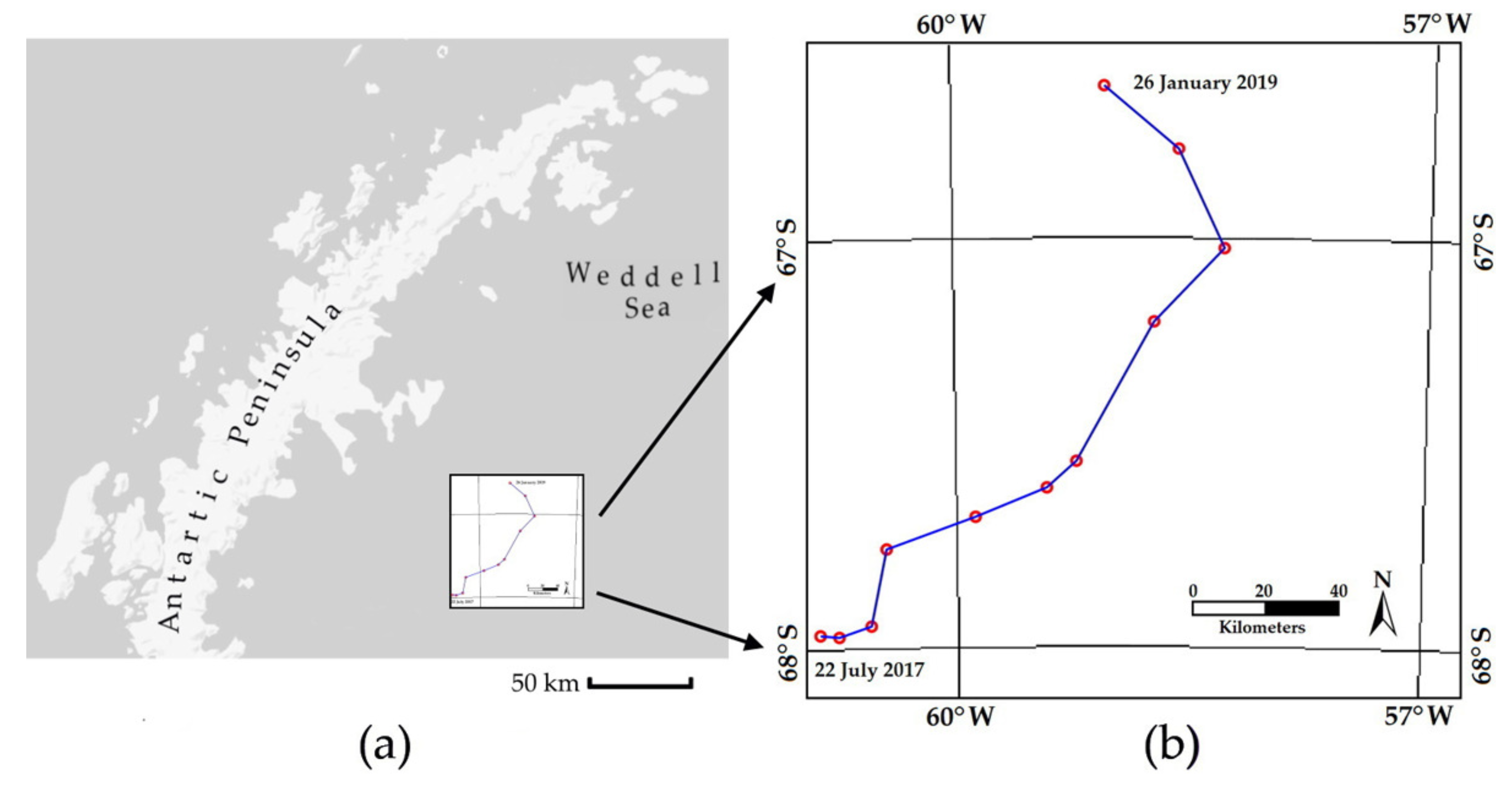 Remotesensing 13 00460 g008