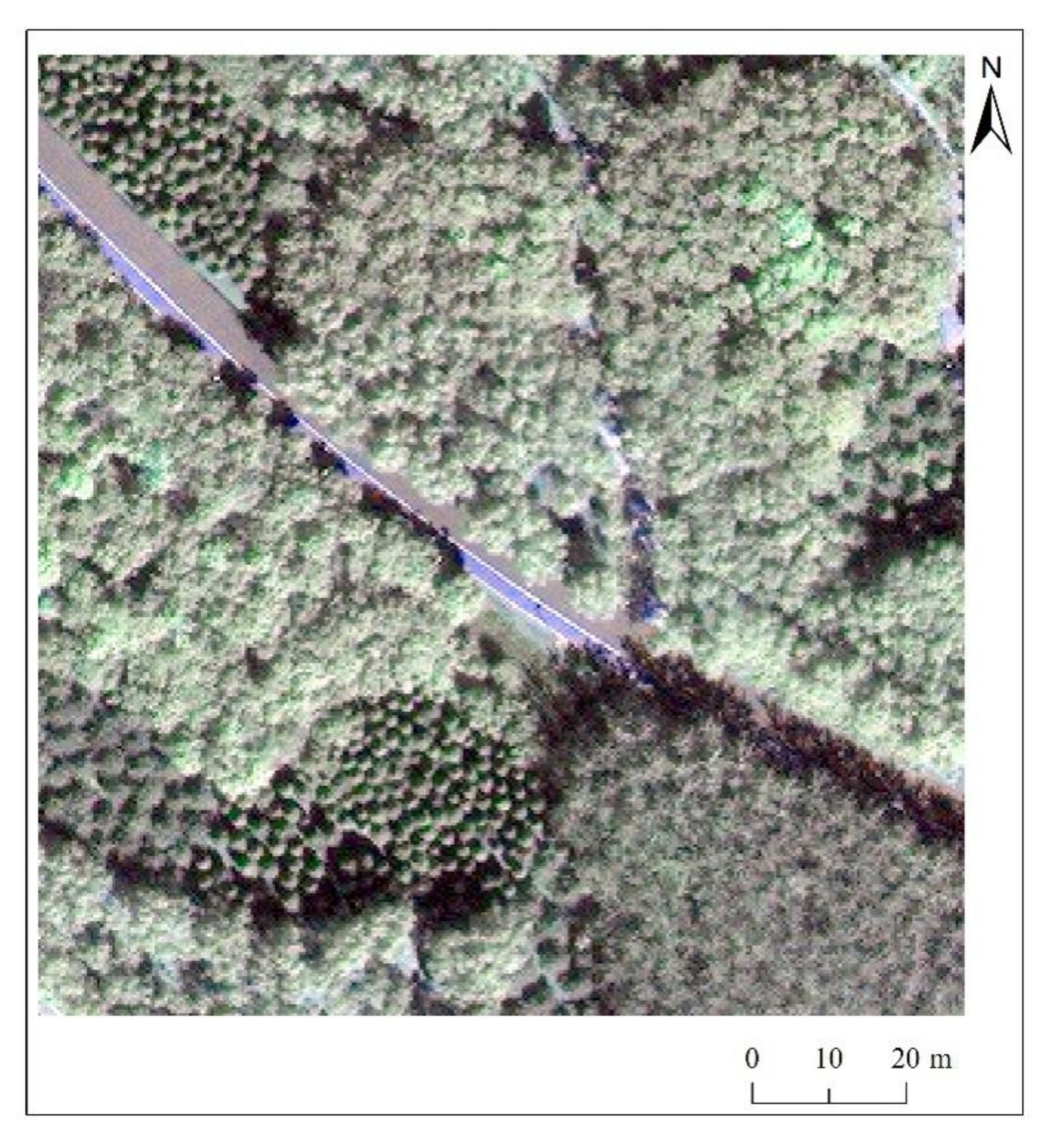 Remotesensing 13 00479 g007