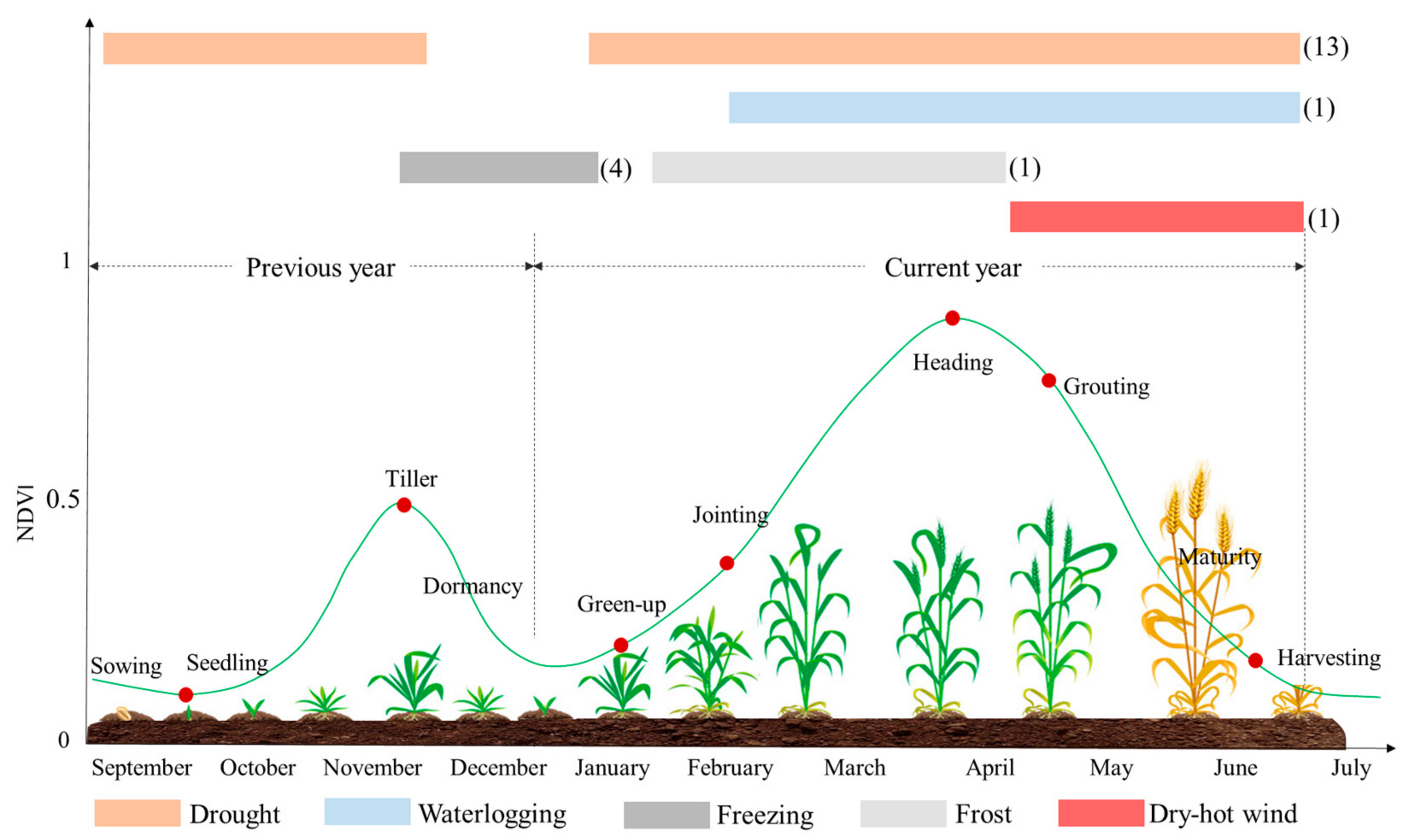 Remotesensing 13 00482 g001