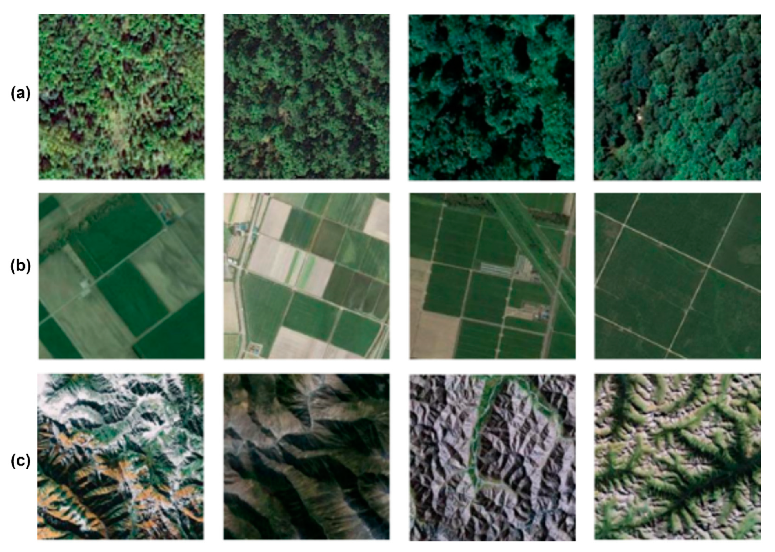 Remotesensing 13 00492 g004