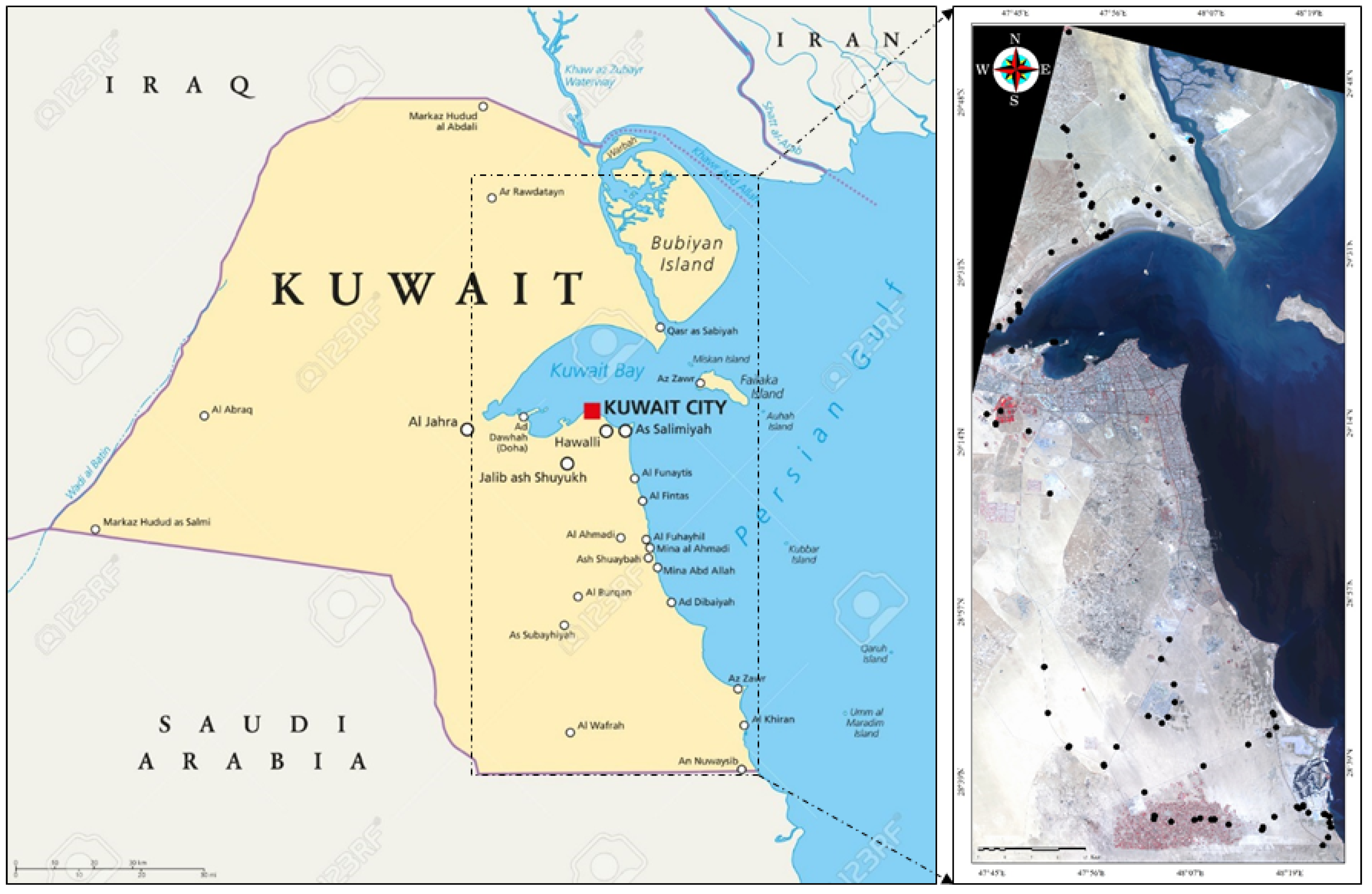 Remotesensing 13 00494 g002