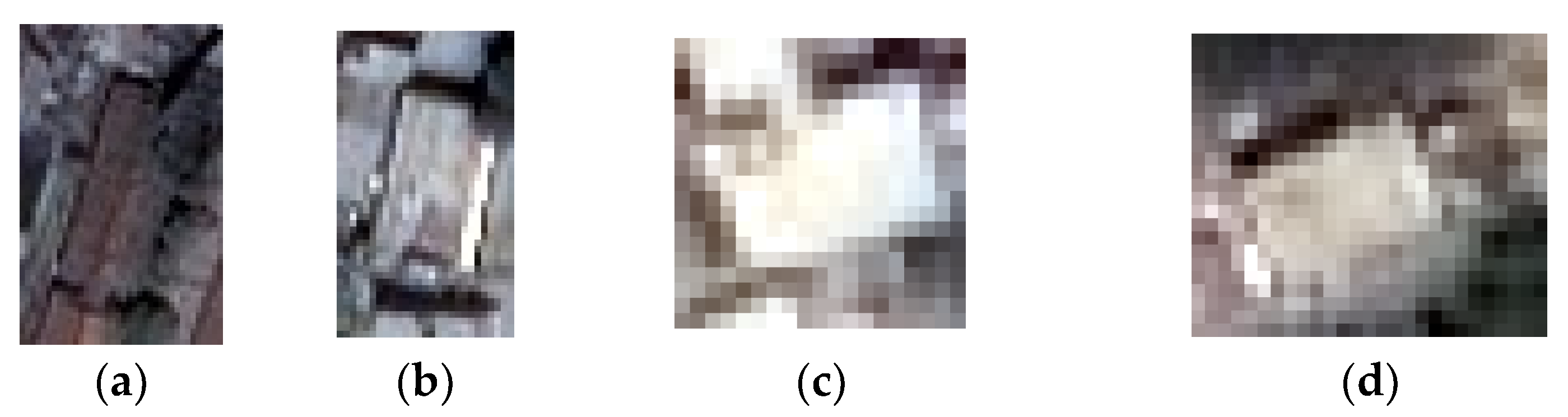 Remotesensing 13 00504 g006