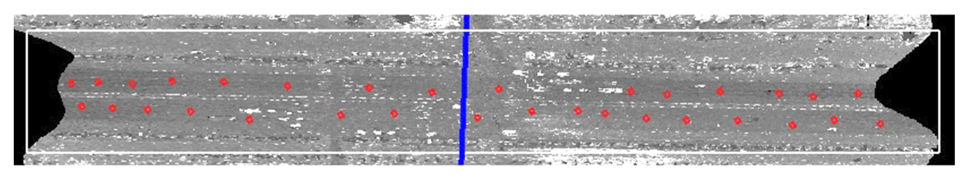 Remotesensing 13 00511 g004