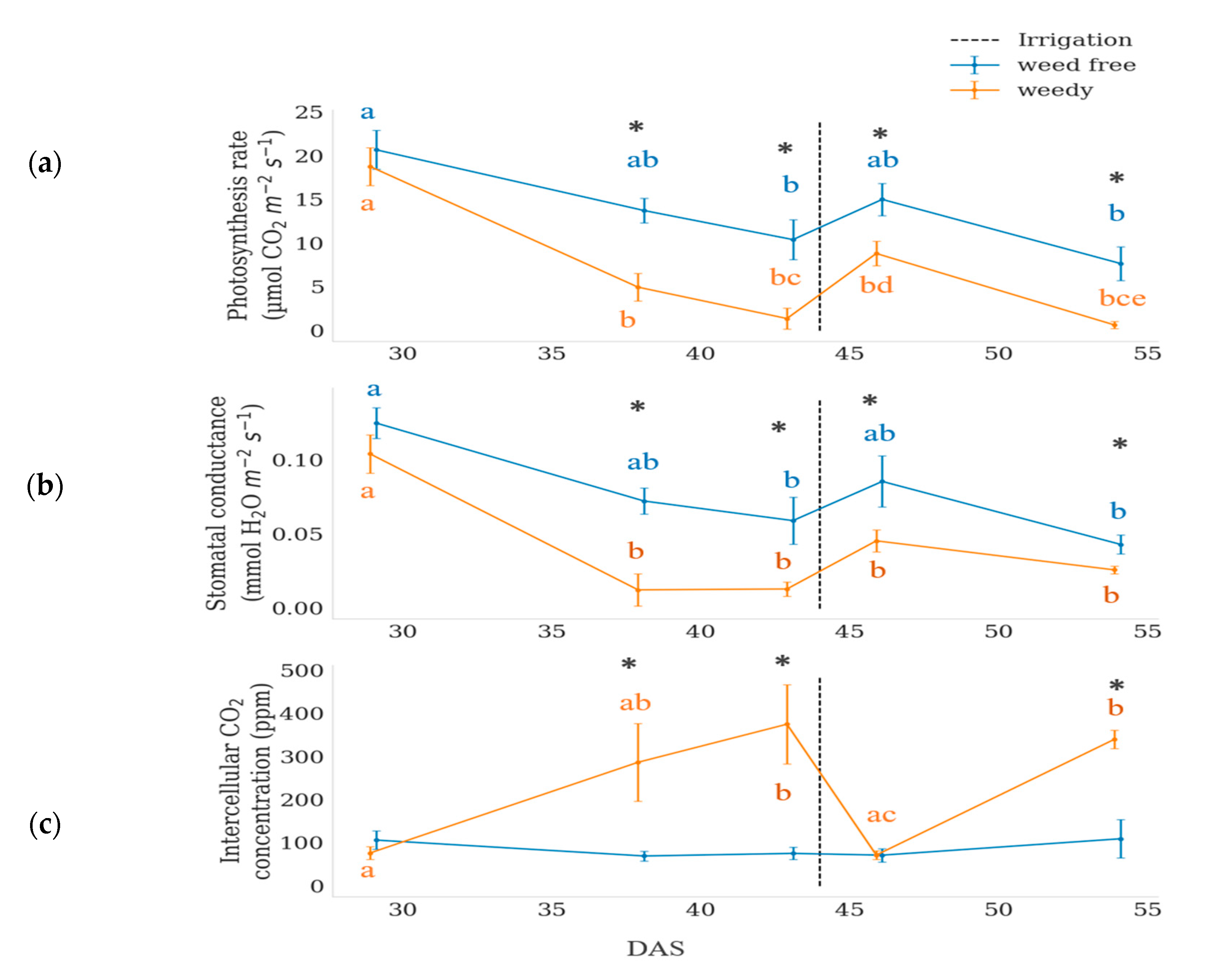 Remotesensing 13 00513 g001
