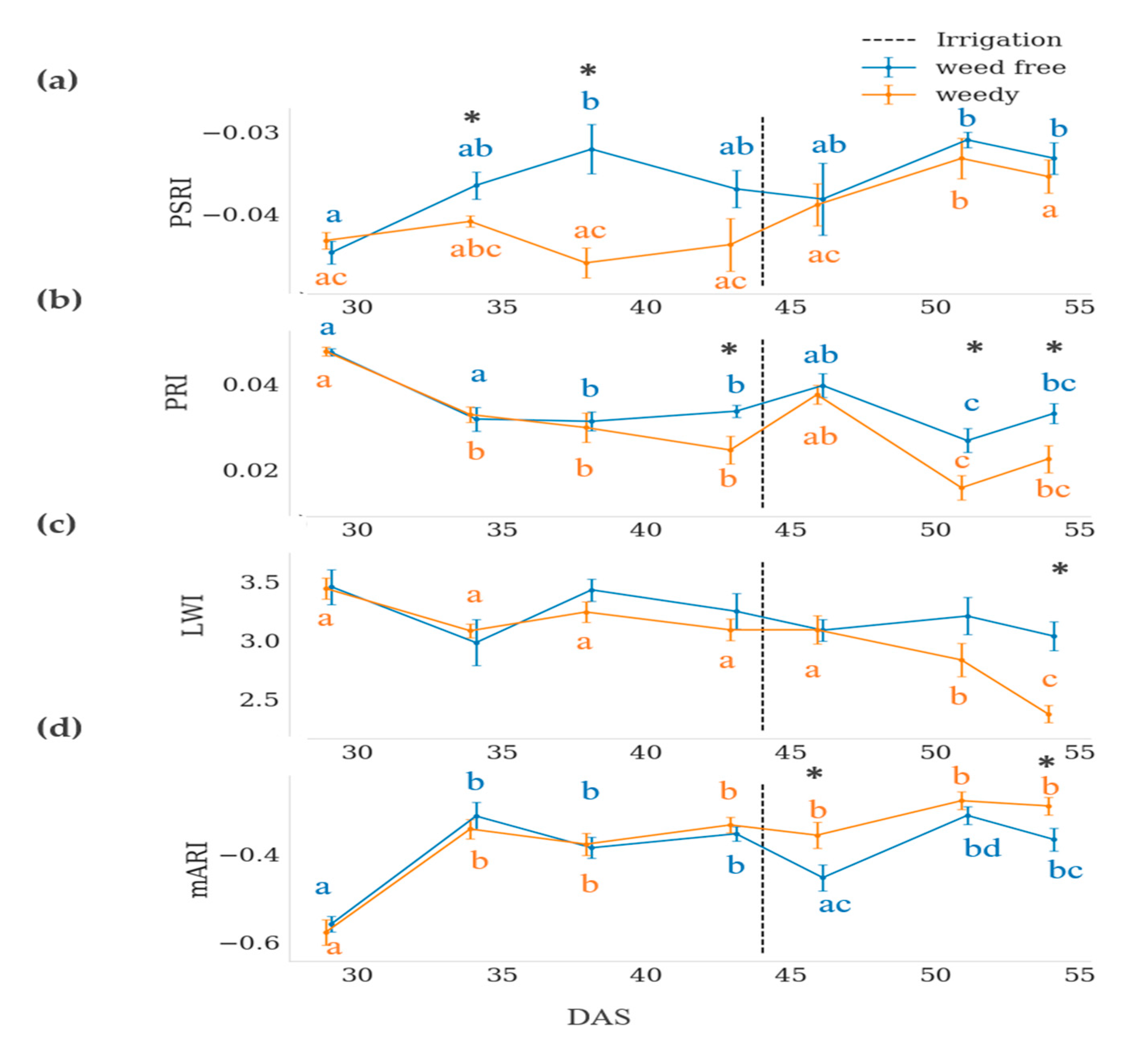 Remotesensing 13 00513 g005