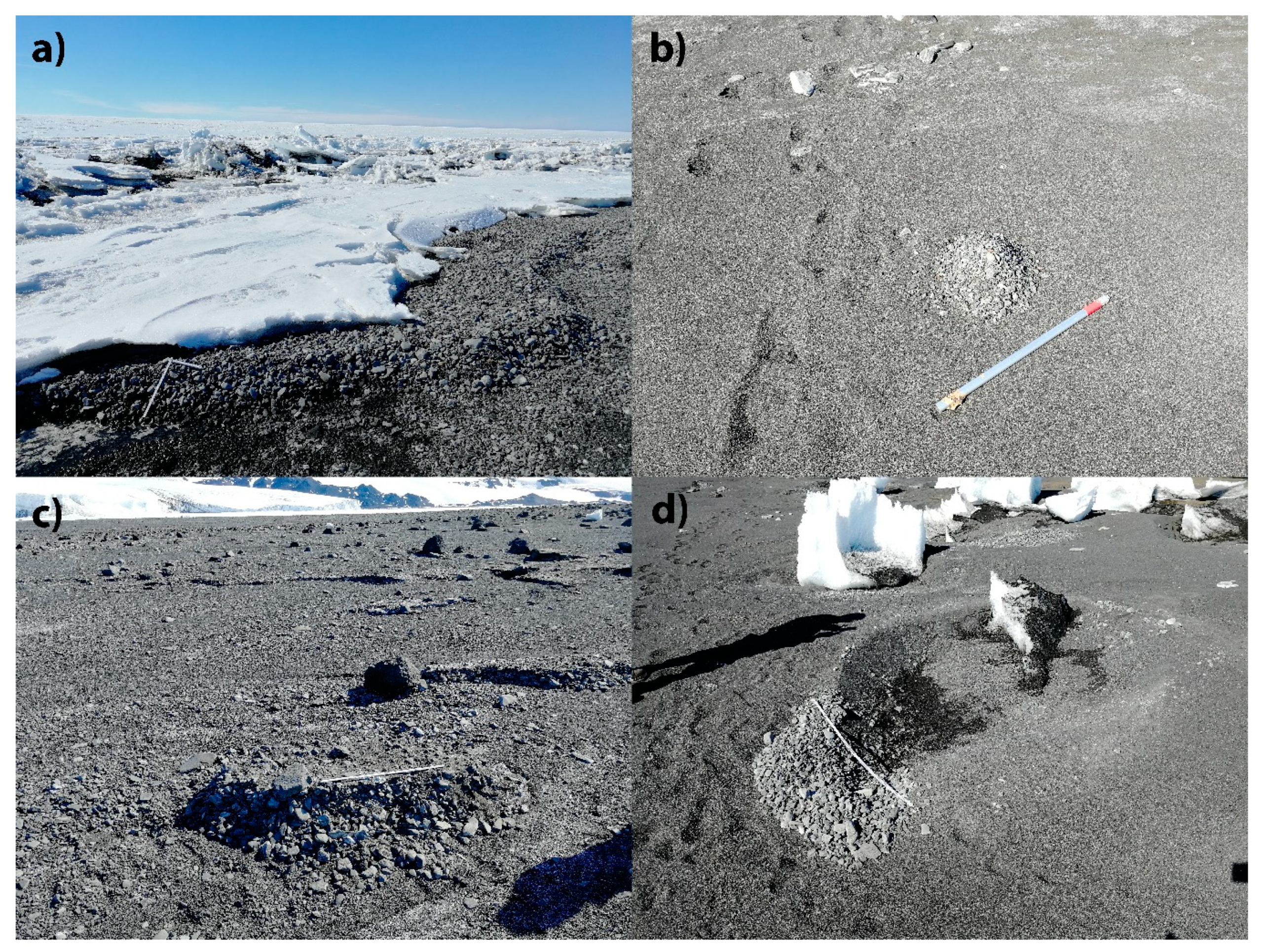 Remotesensing 13 00518 g003