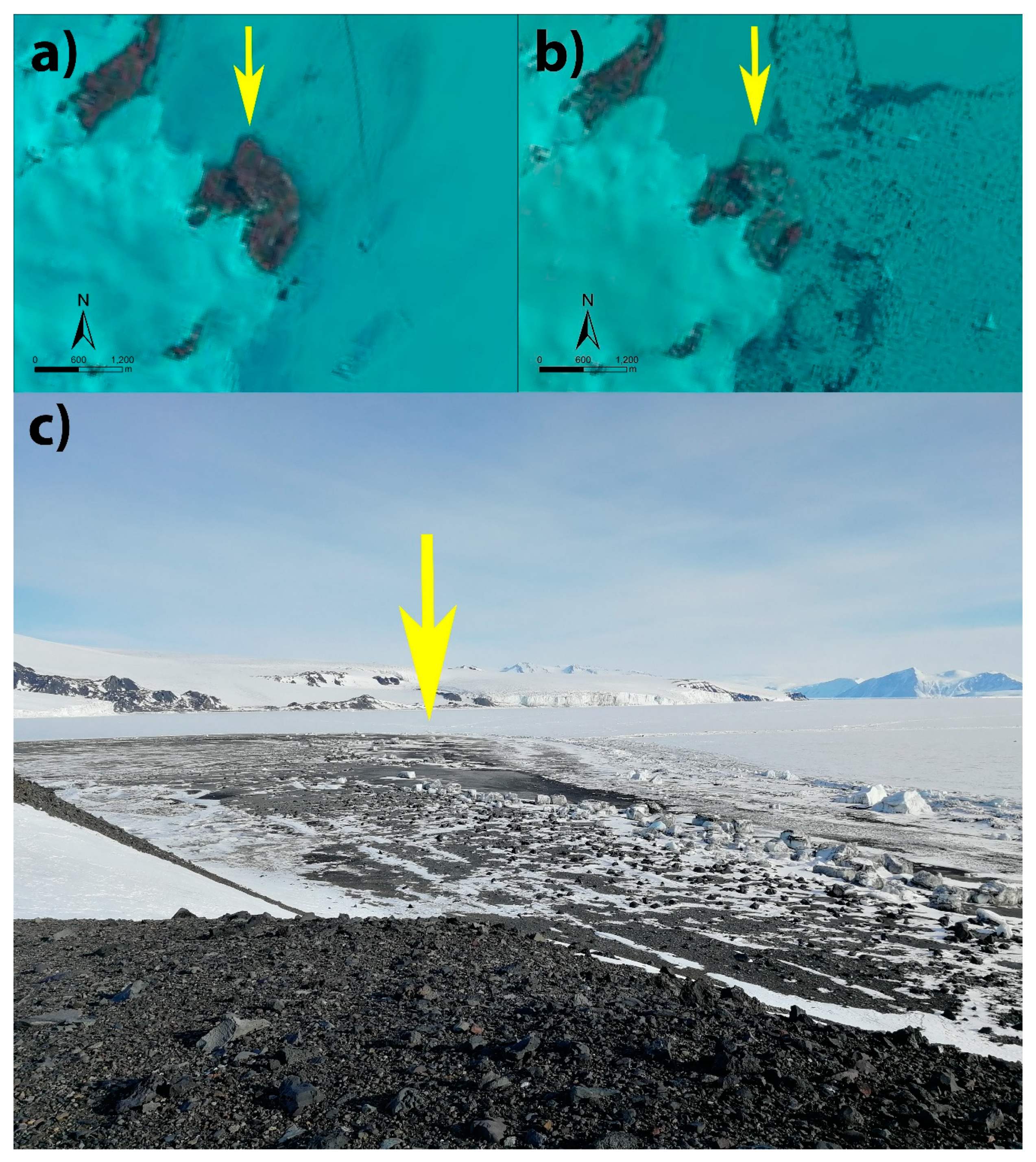 Remotesensing 13 00518 g005