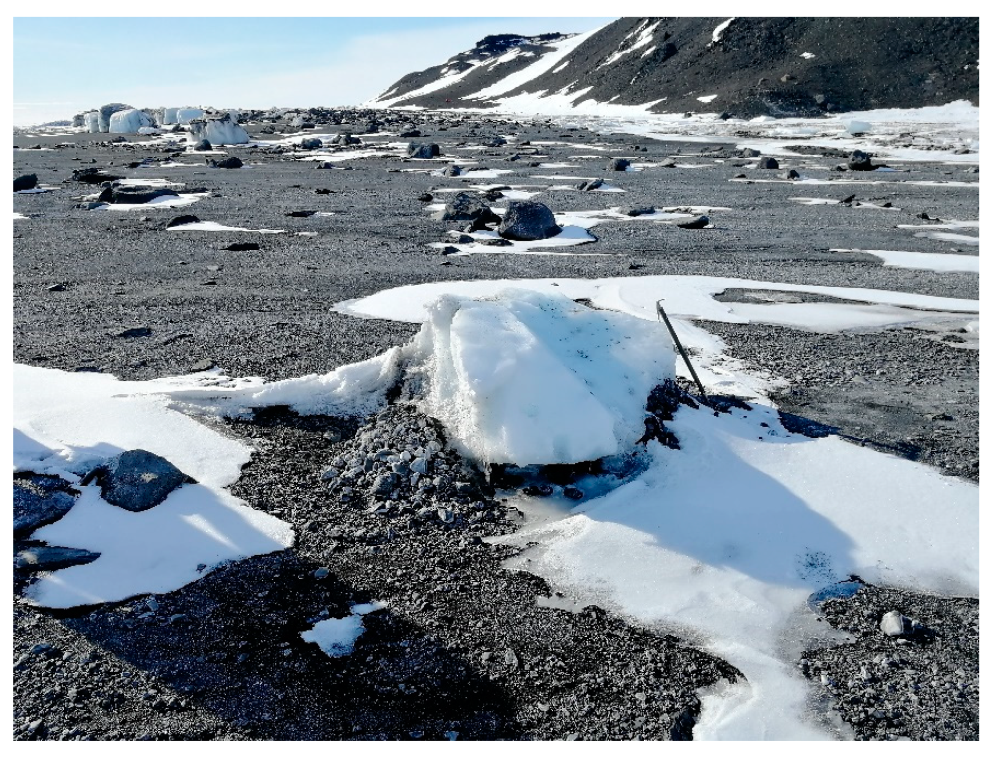 Remotesensing 13 00518 g010