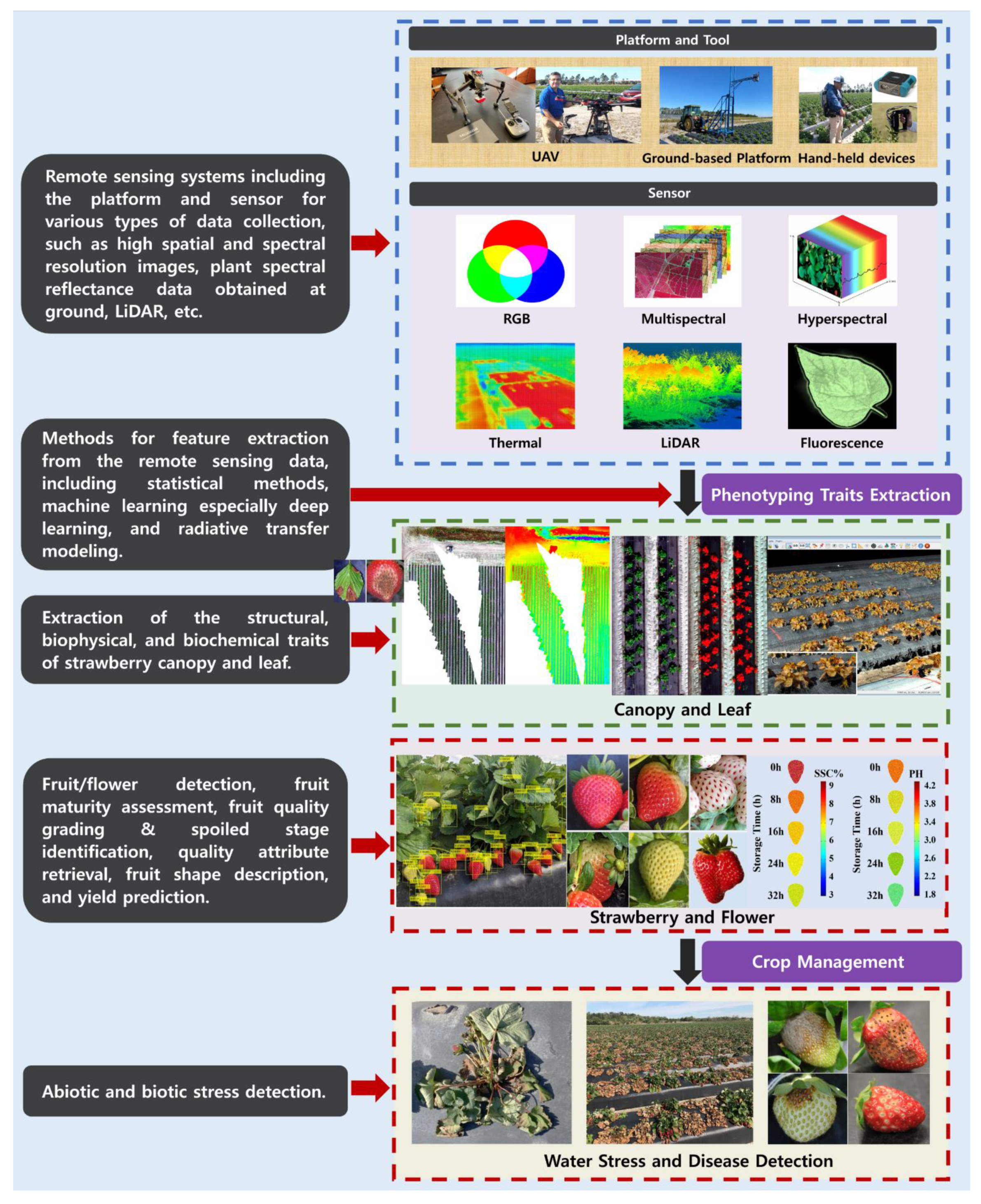 Remotesensing 13 00531 g002 Remotesensing 13 00531 g002