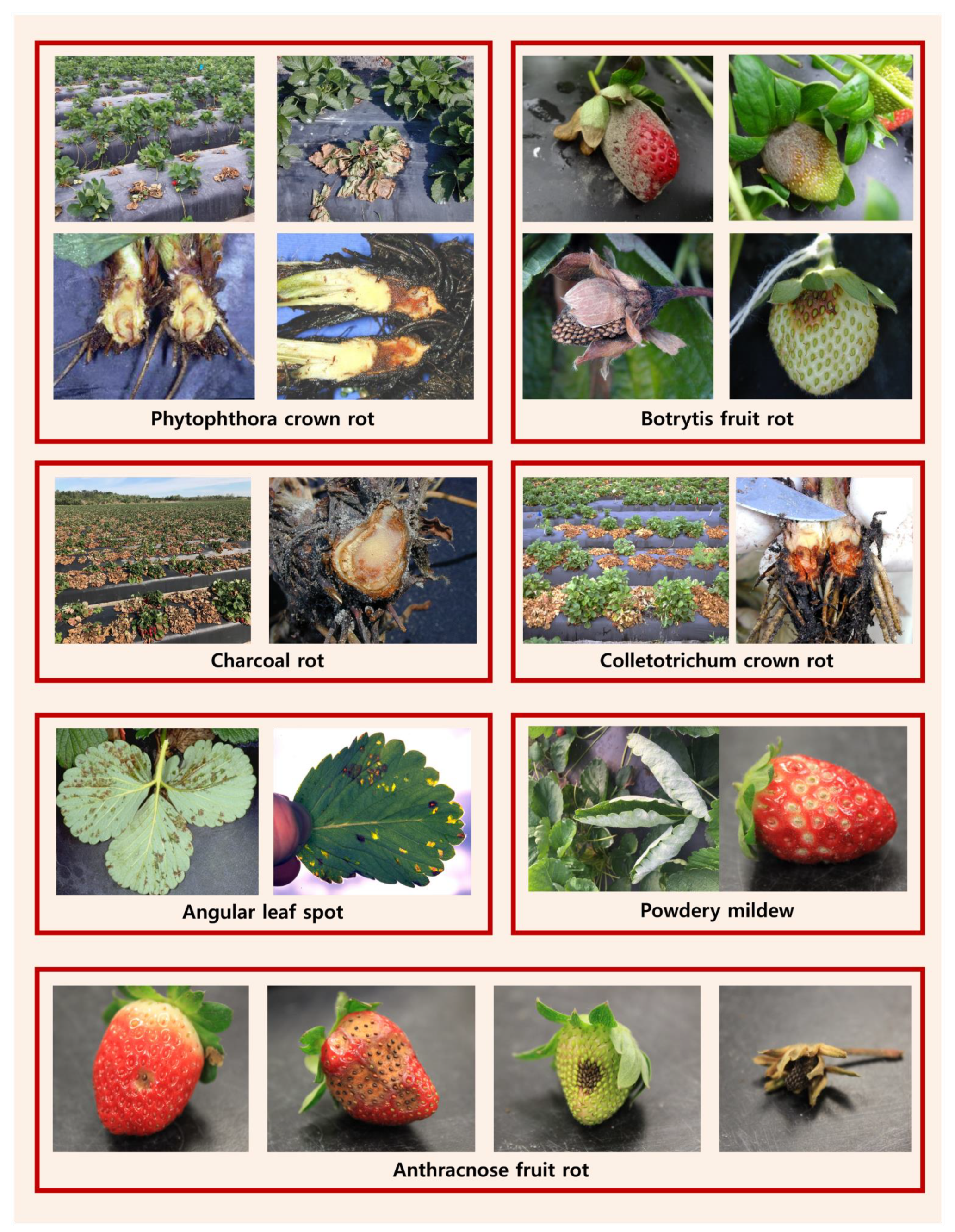 Remotesensing 13 00531 g003 Remotesensing 13 00531 g003