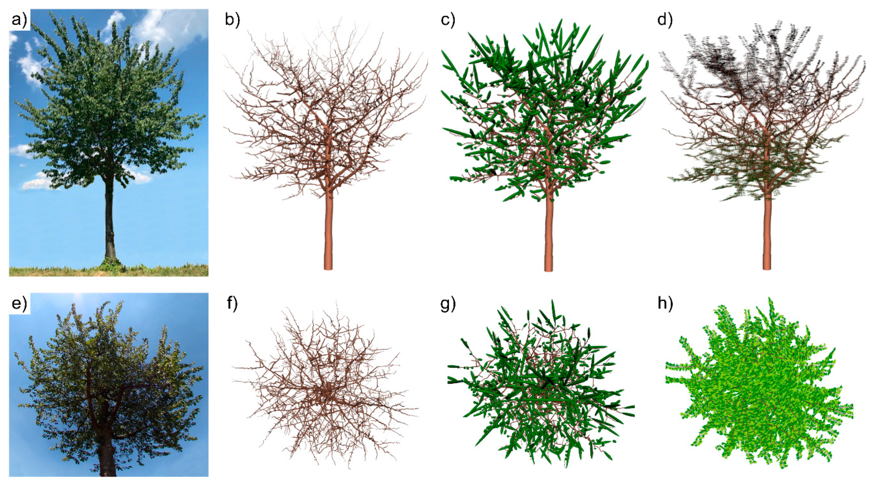 Remotesensing 13 00532 g002