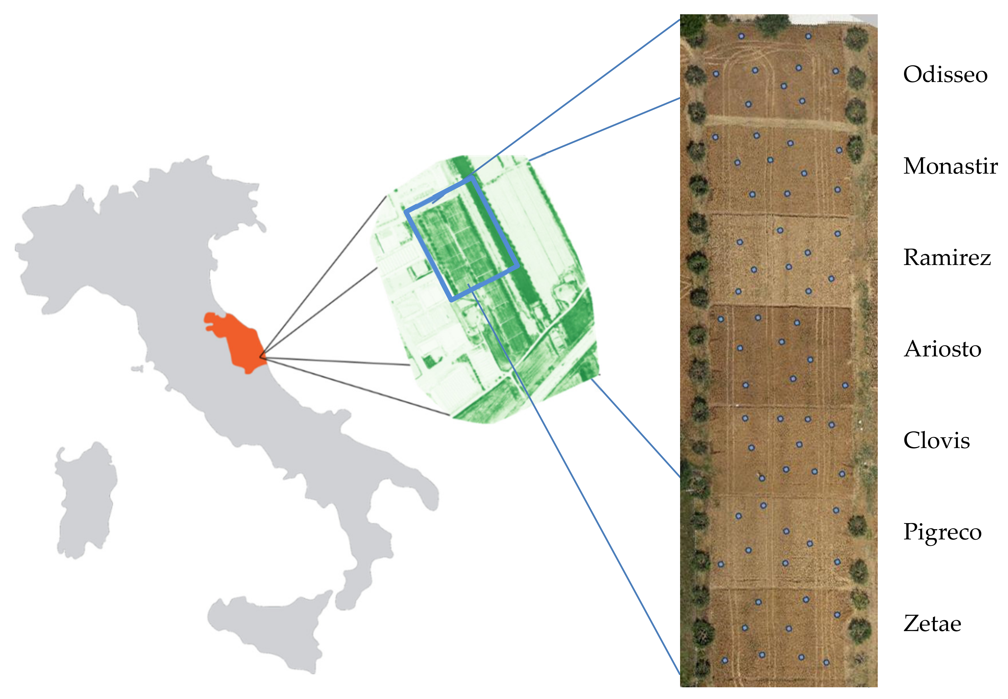 Remotesensing 13 00541 g001