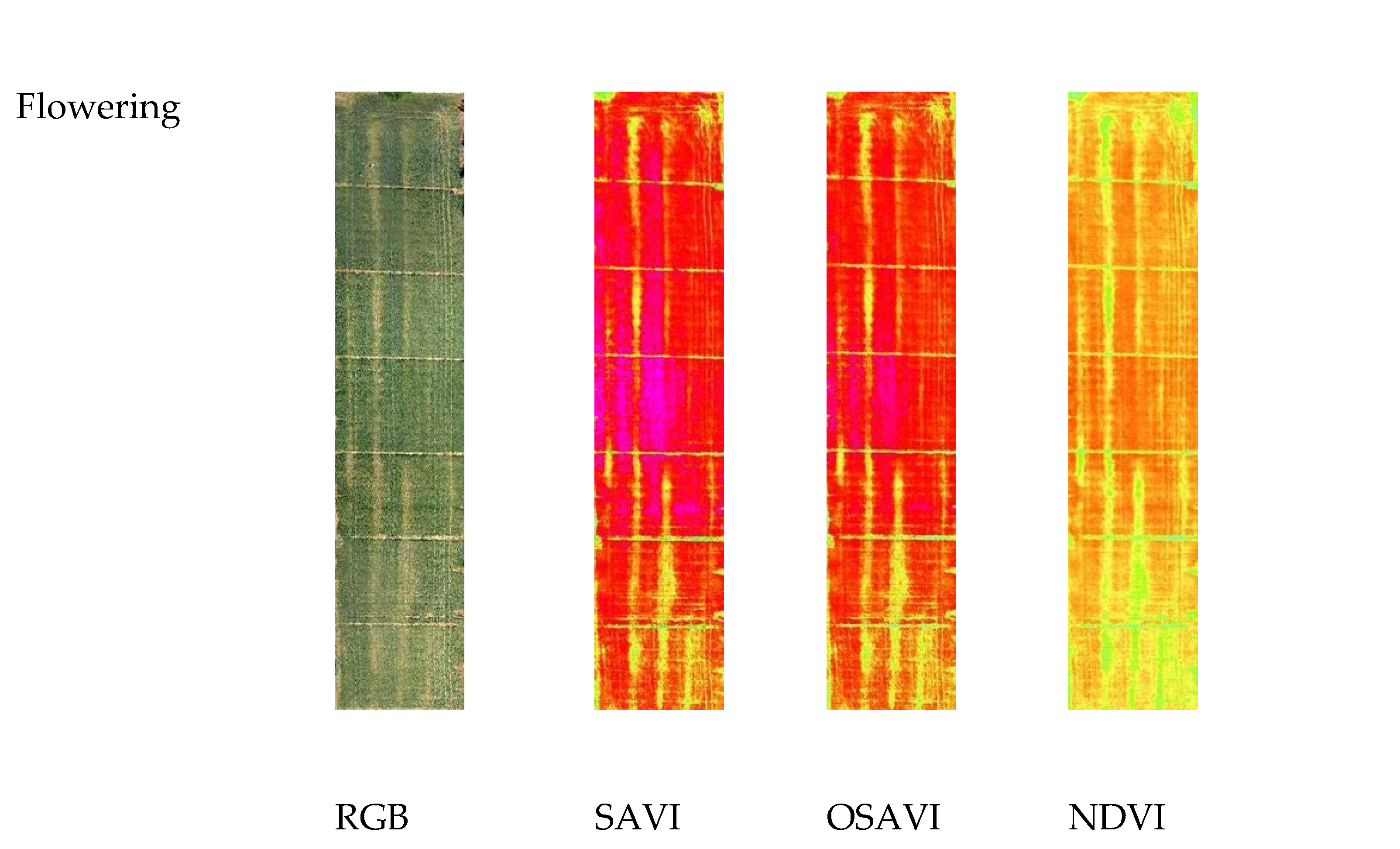 Remotesensing 13 00541 g003b