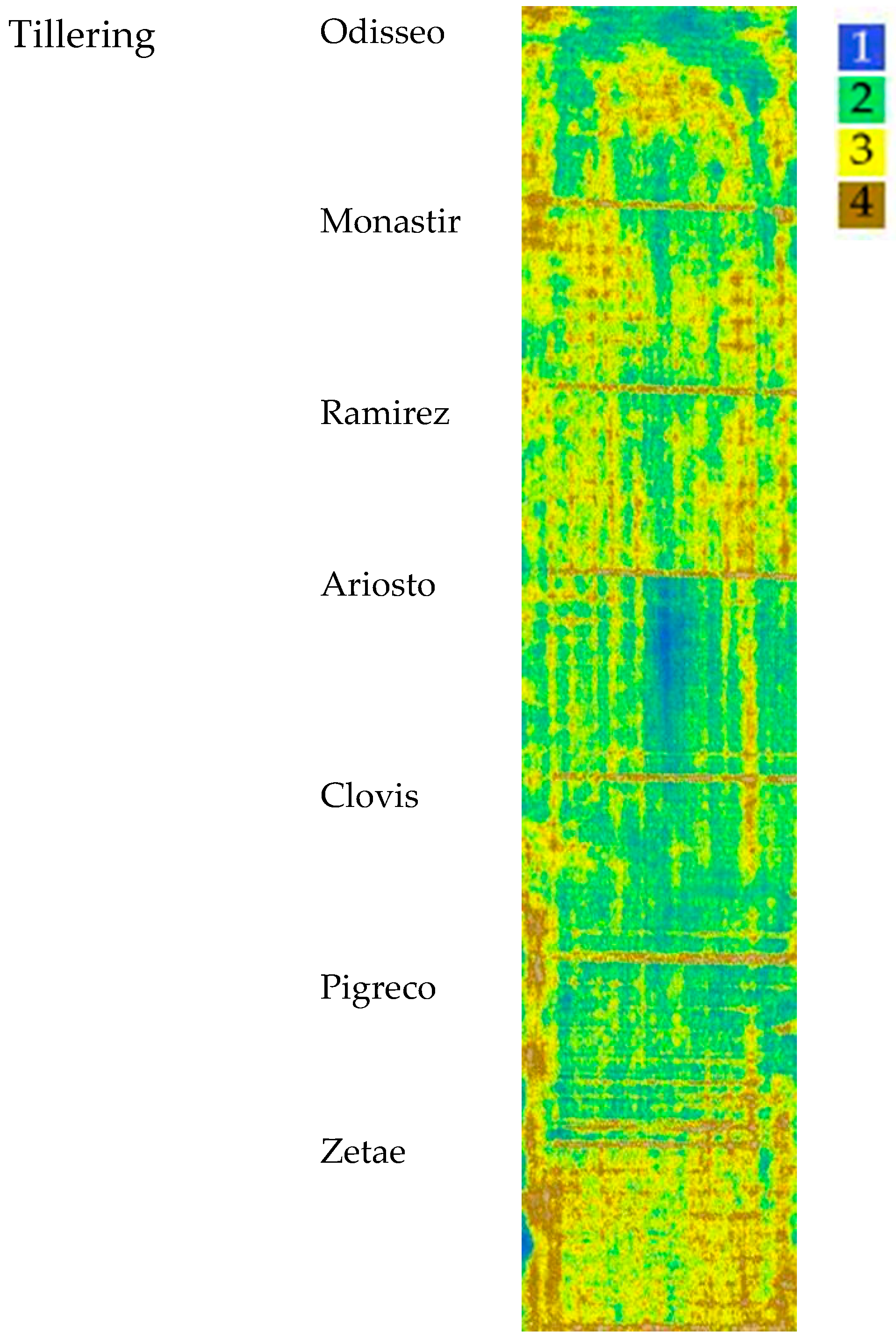 Remotesensing 13 00541 g006