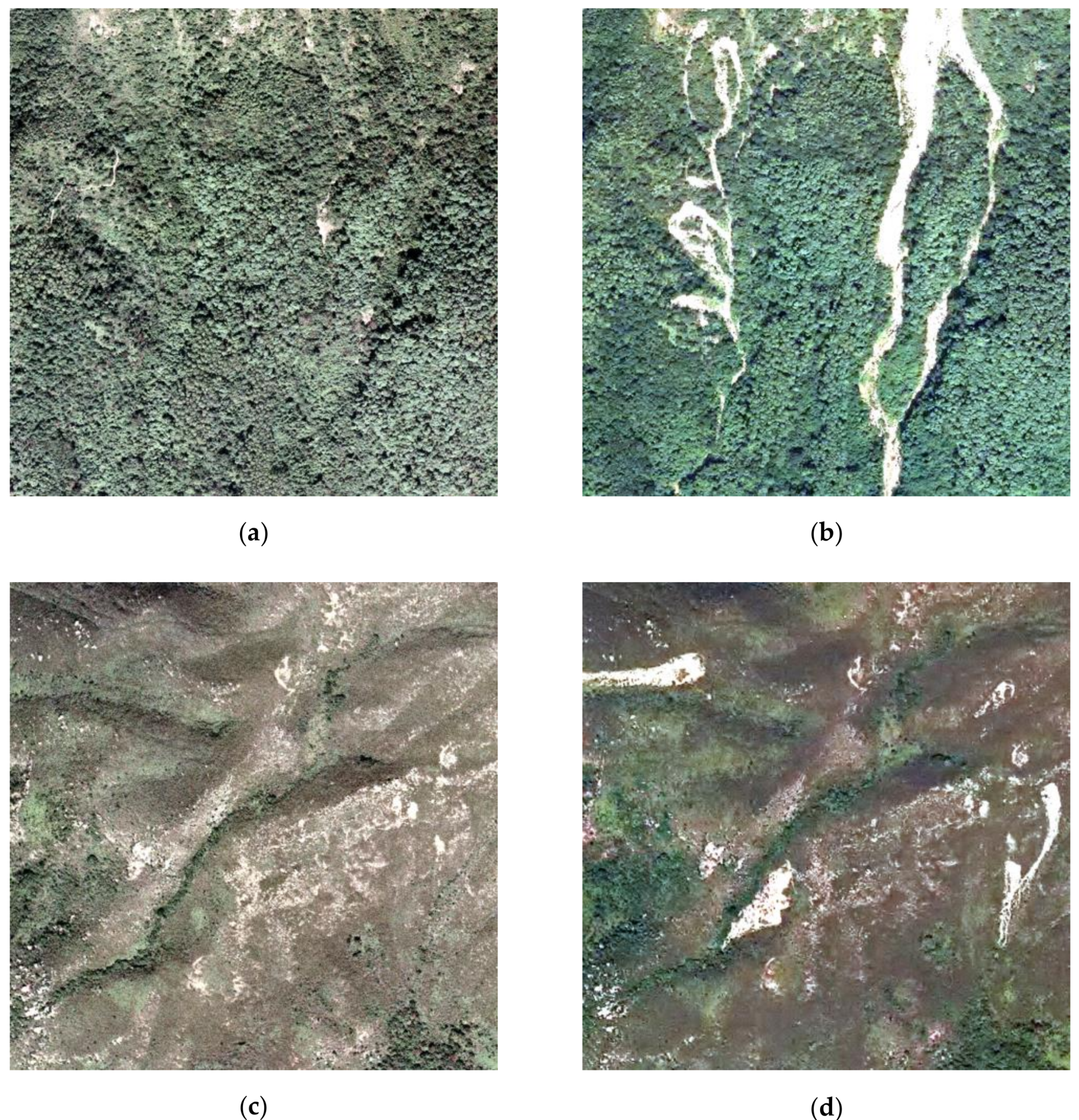 Remotesensing 13 00548 g005a