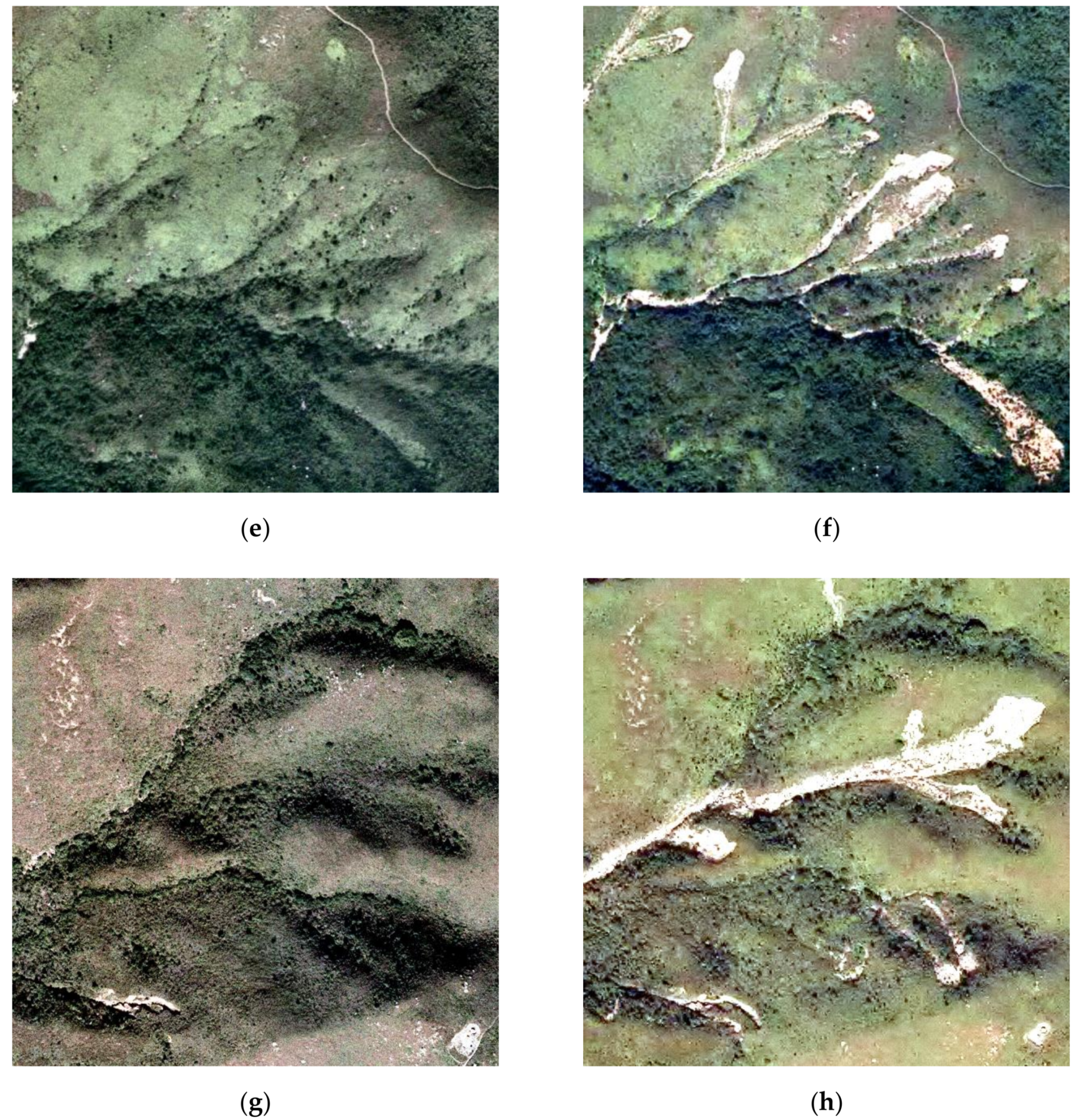 Remotesensing 13 00548 g005b