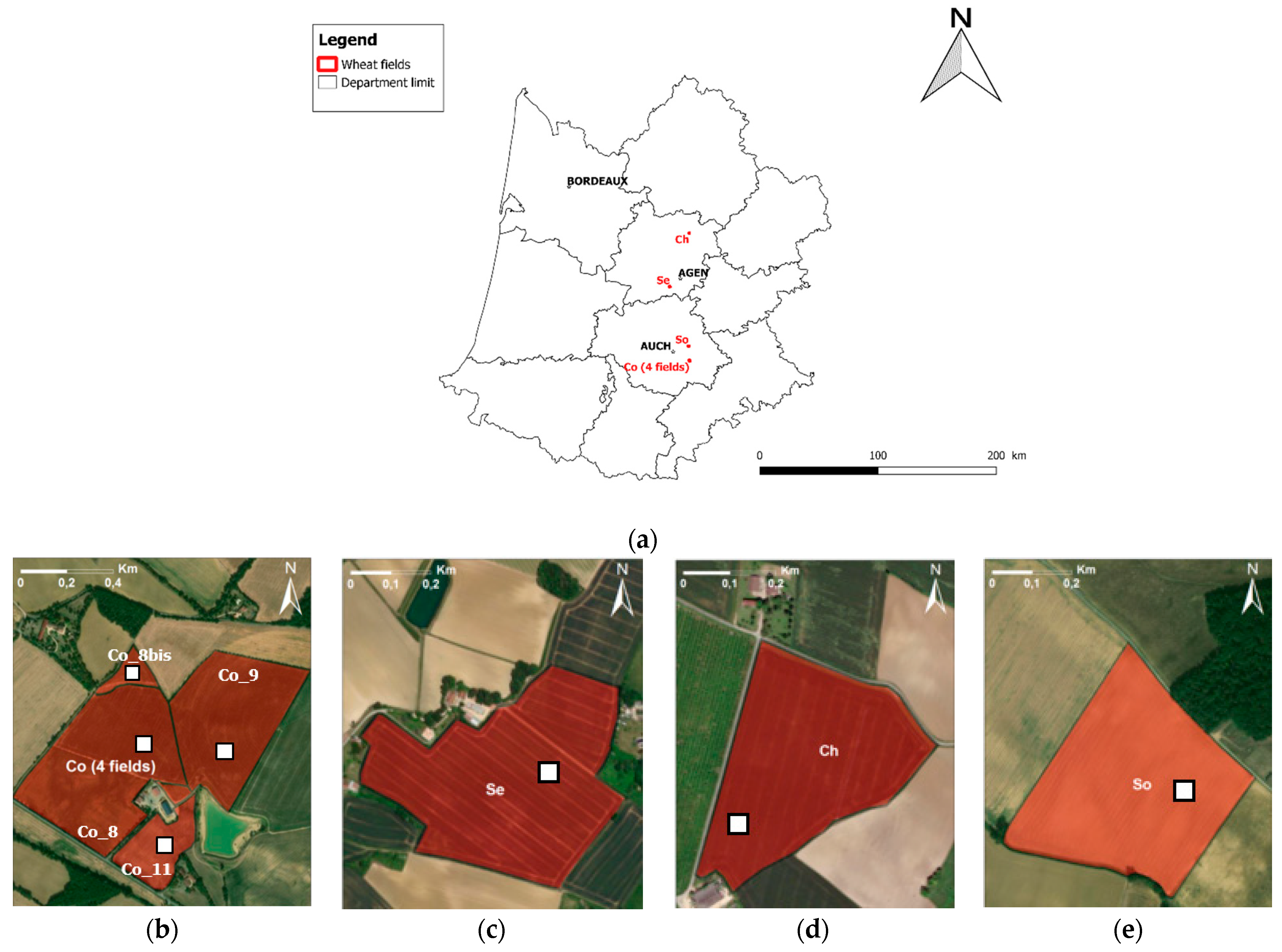 Remotesensing 13 00553 g001