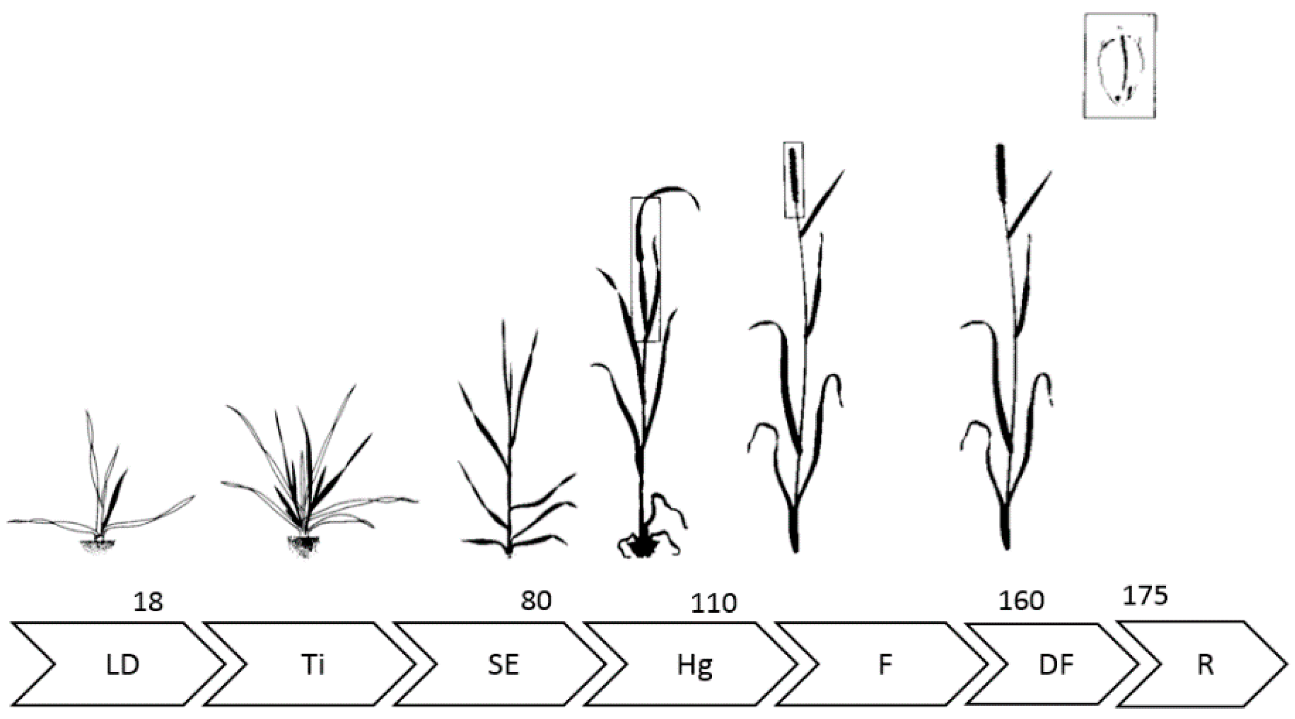 Remotesensing 13 00553 g002