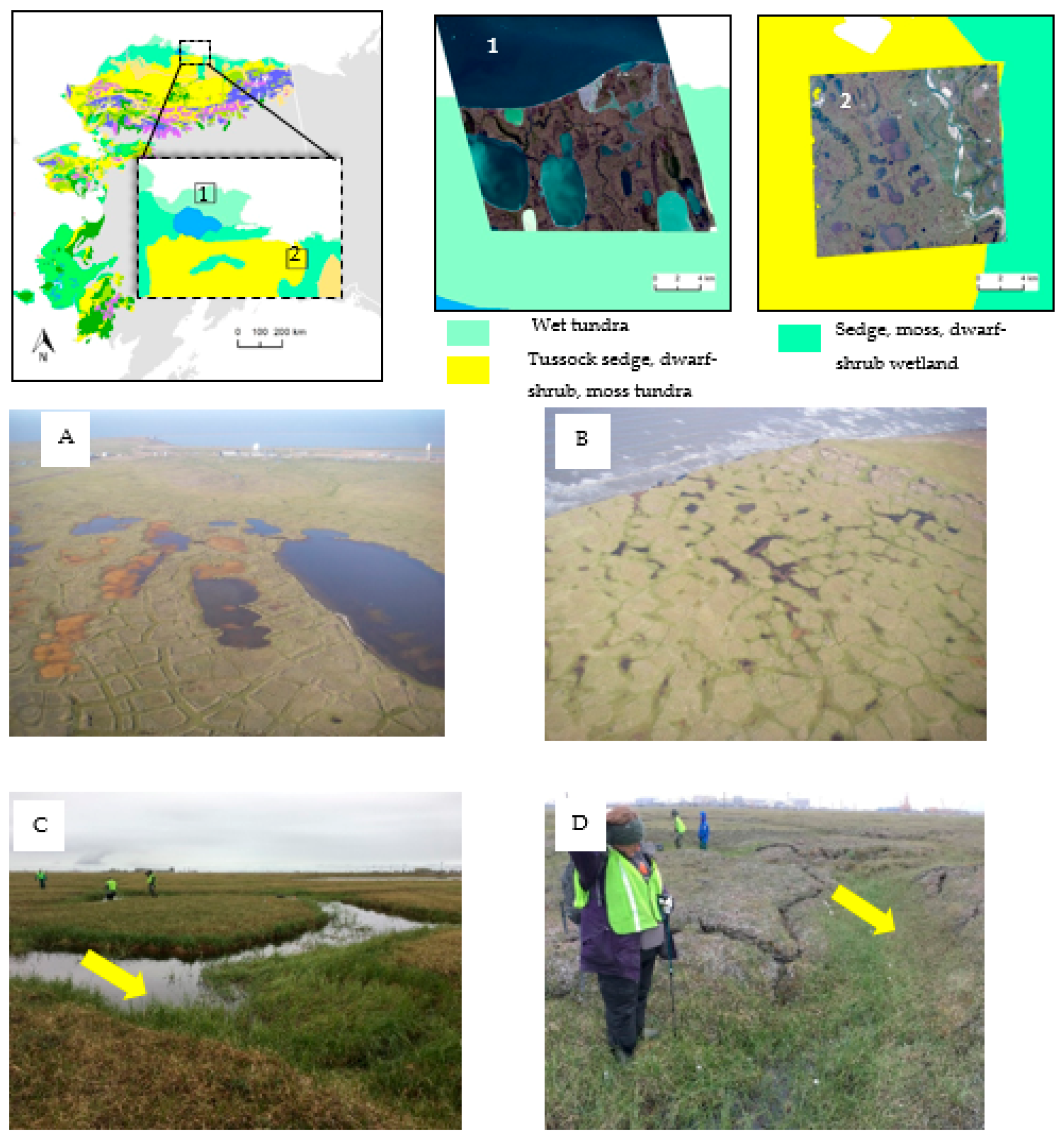 Remotesensing 13 00558 g001