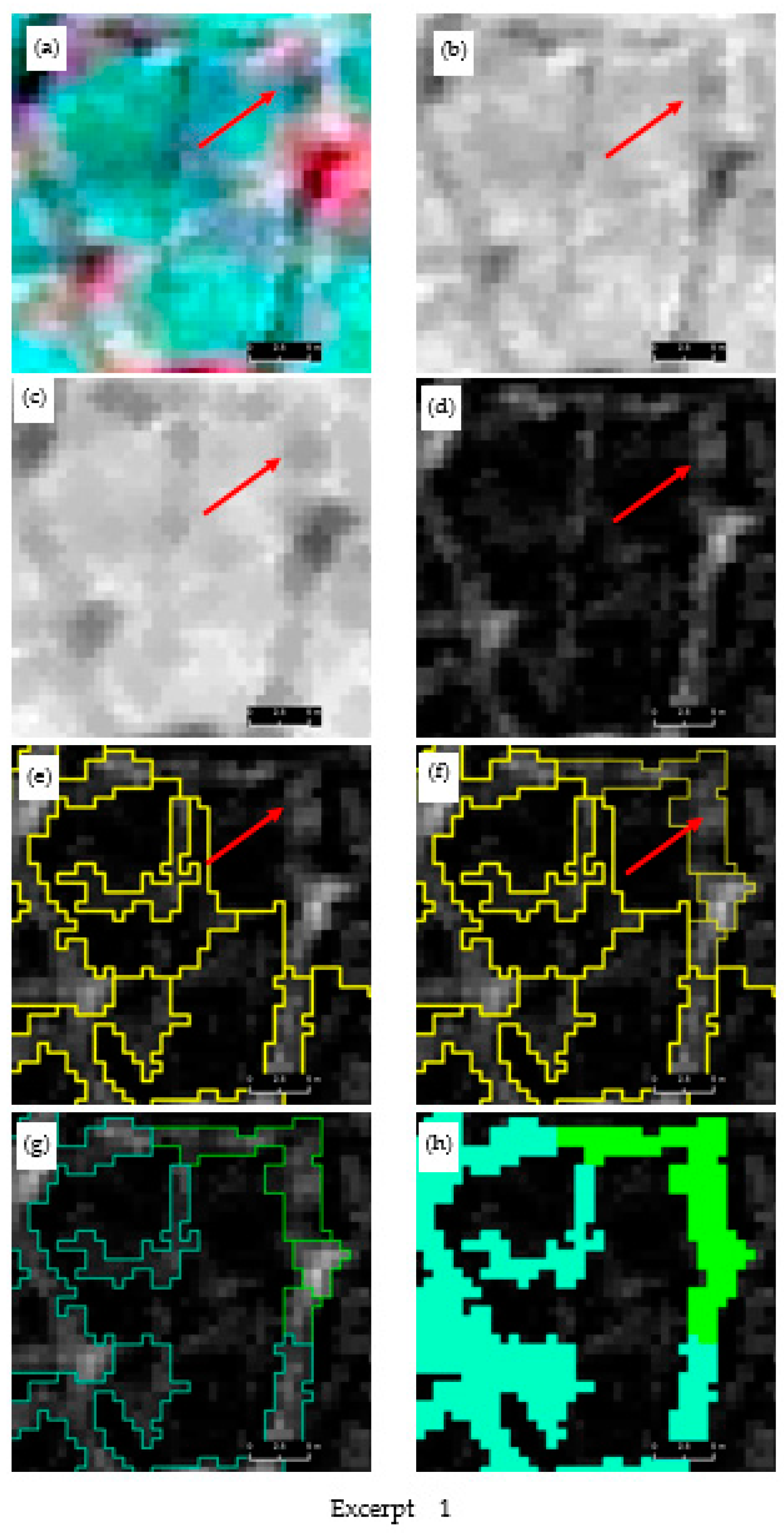 Remotesensing 13 00558 g003a
