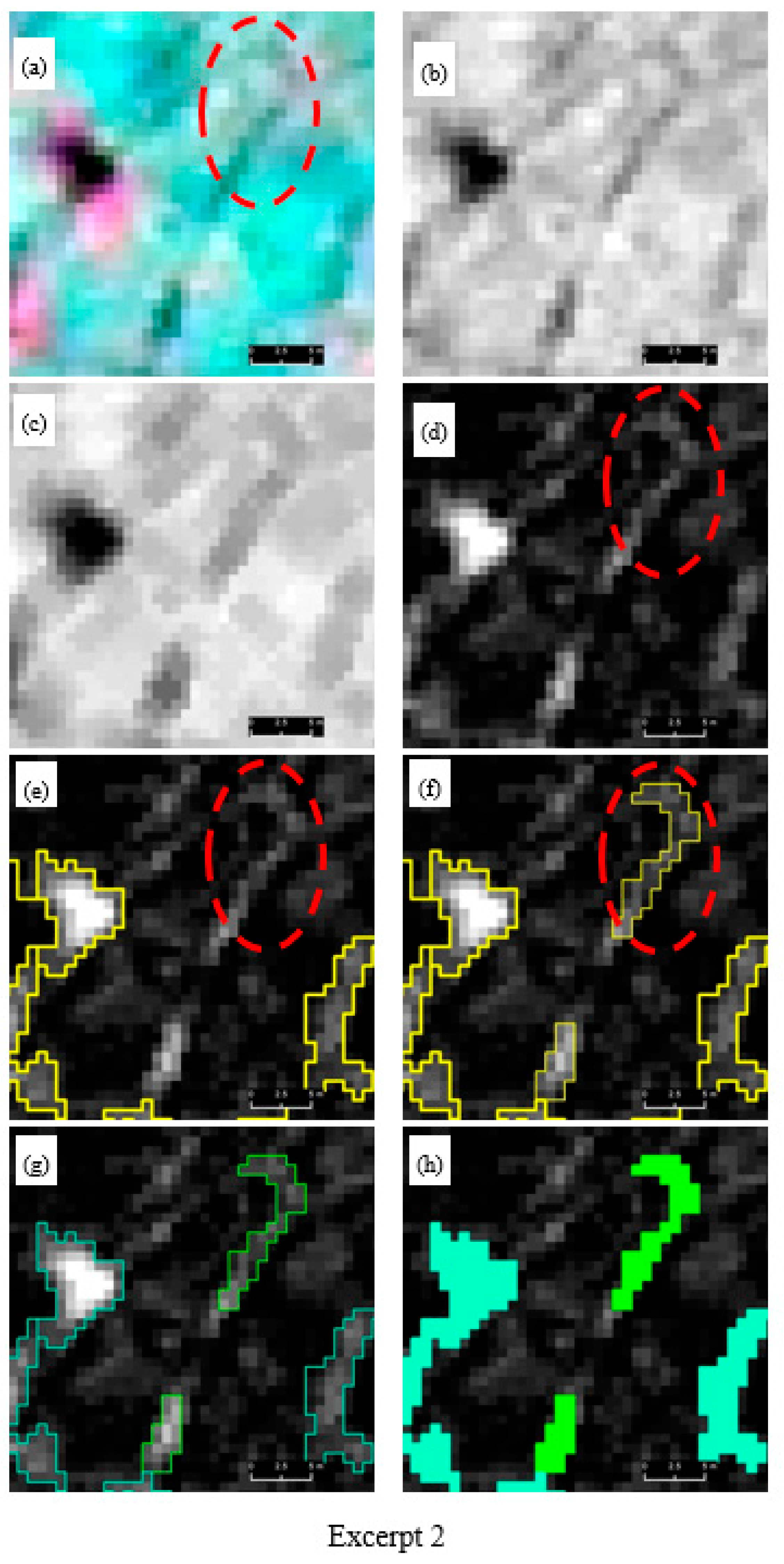 Remotesensing 13 00558 g003b