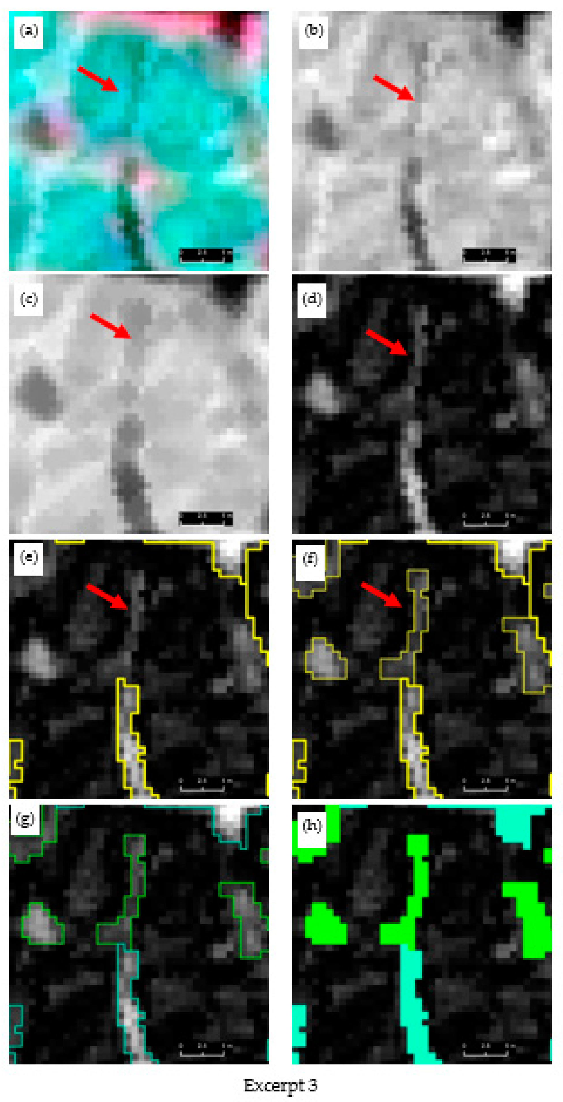 Remotesensing 13 00558 g003c