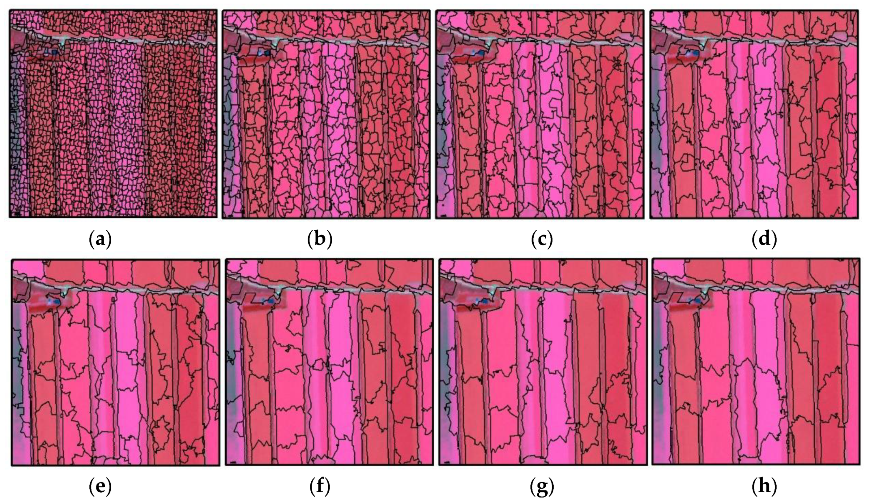 Remotesensing 13 00561 g012